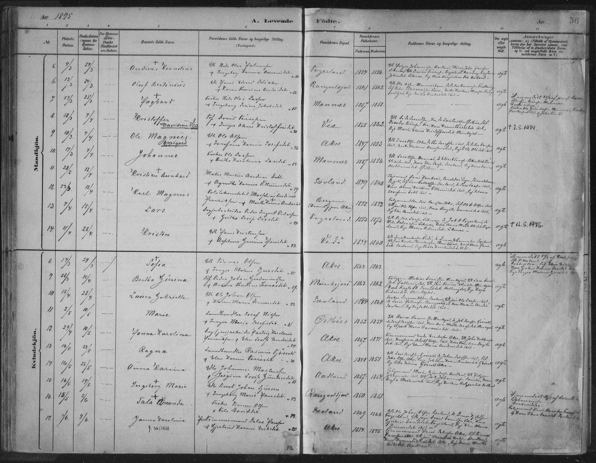 Kopervik sokneprestkontor, SAST/A-101850/H/Ha/Haa/L0004: Parish register (official) no. A 4, 1882-1905, p. 56