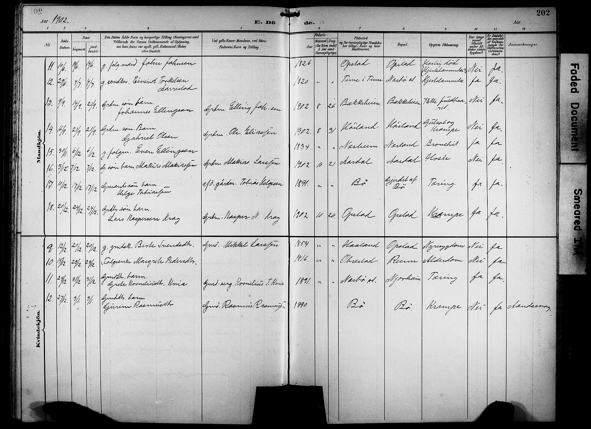 Hå sokneprestkontor, AV/SAST-A-101801/001/30BB/L0005: Parish register (copy) no. B 5, 1894-1912, p. 202