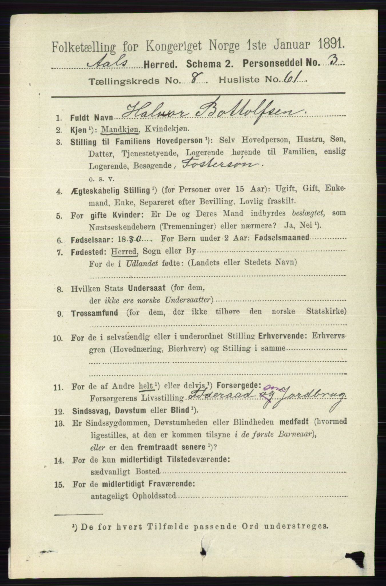 RA, 1891 census for 0619 Ål, 1891, p. 2443