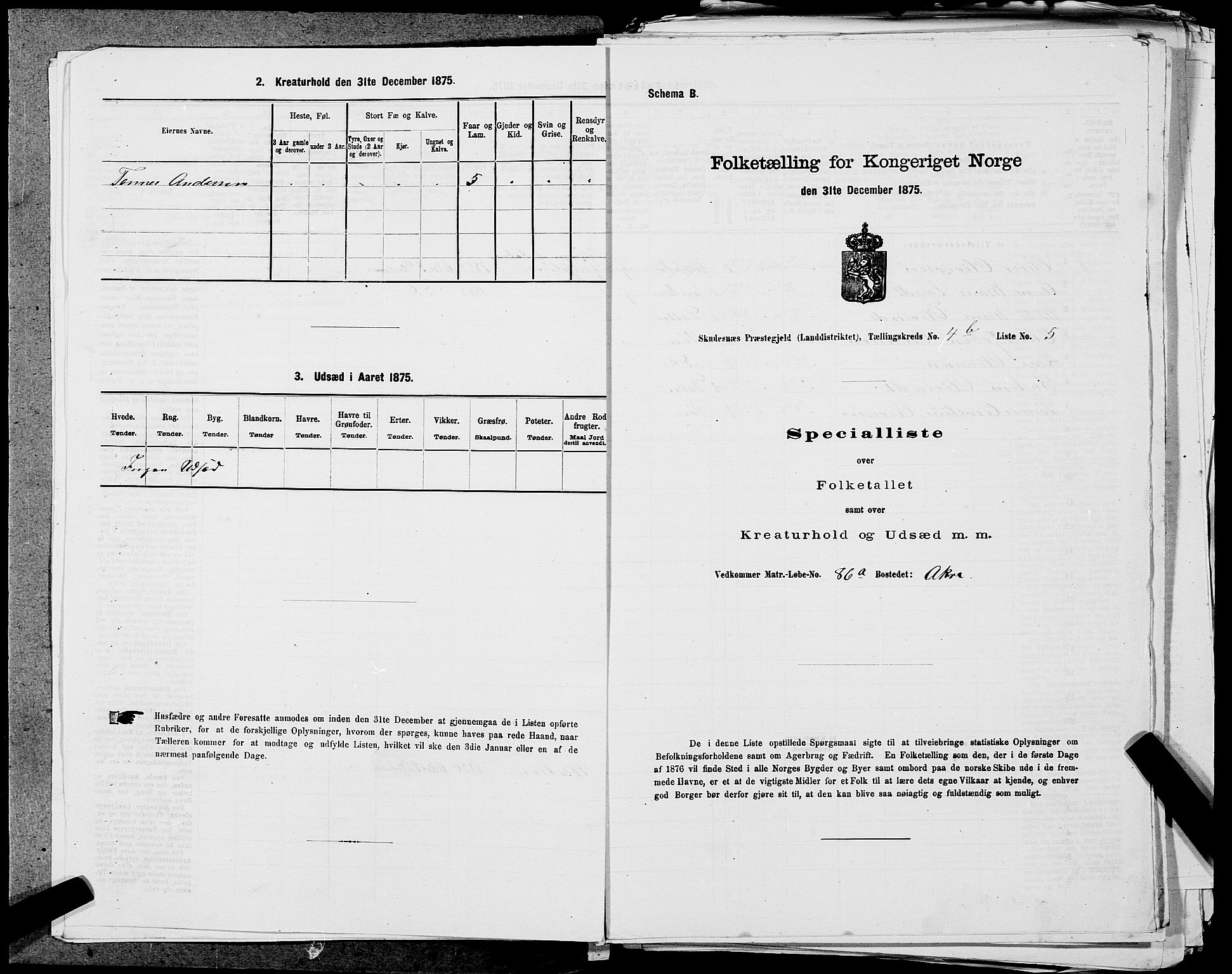 SAST, 1875 census for 1150L Skudenes/Falnes, Åkra og Ferkingstad, 1875, p. 406