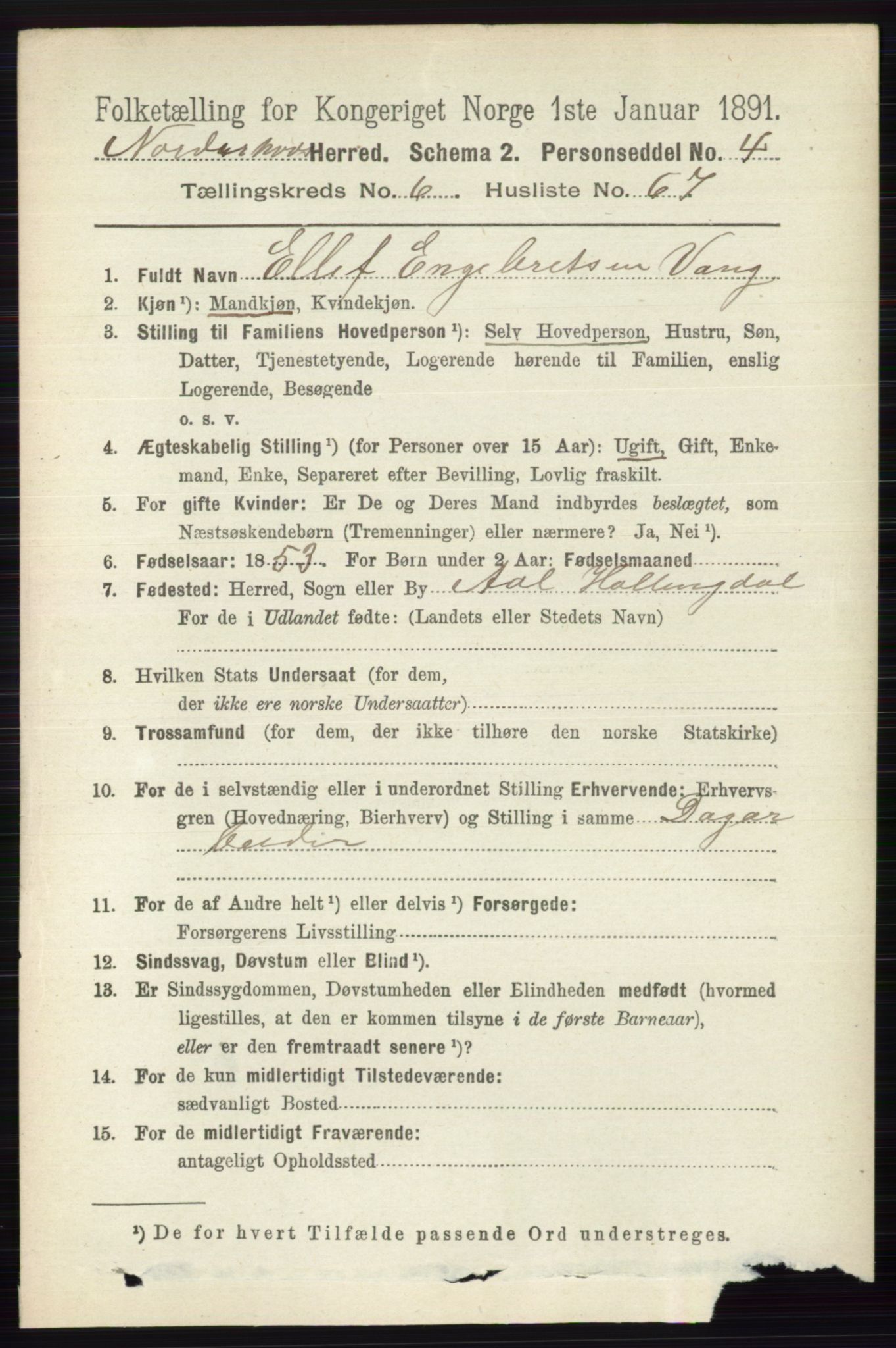 RA, 1891 census for 0613 Norderhov, 1891, p. 4384