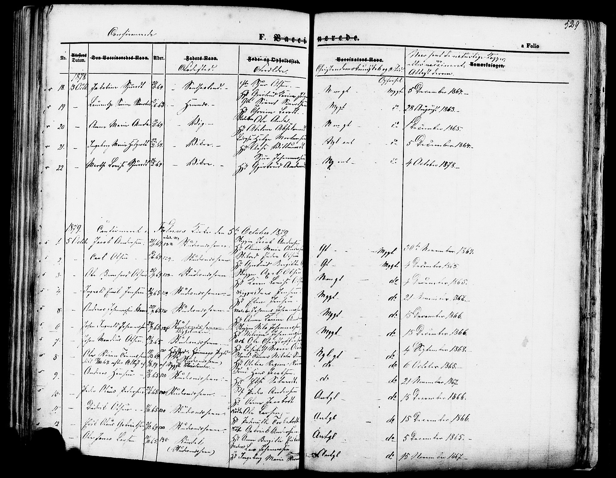Skudenes sokneprestkontor, SAST/A -101849/H/Ha/Haa/L0006: Parish register (official) no. A 4, 1864-1881, p. 529