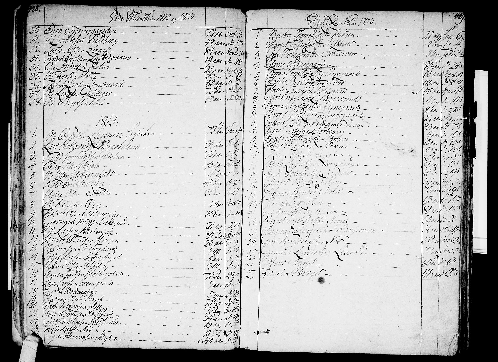 Ål kirkebøker, SAKO/A-249/F/Fa/L0003: Parish register (official) no. I 3, 1807-1814, p. 428-429