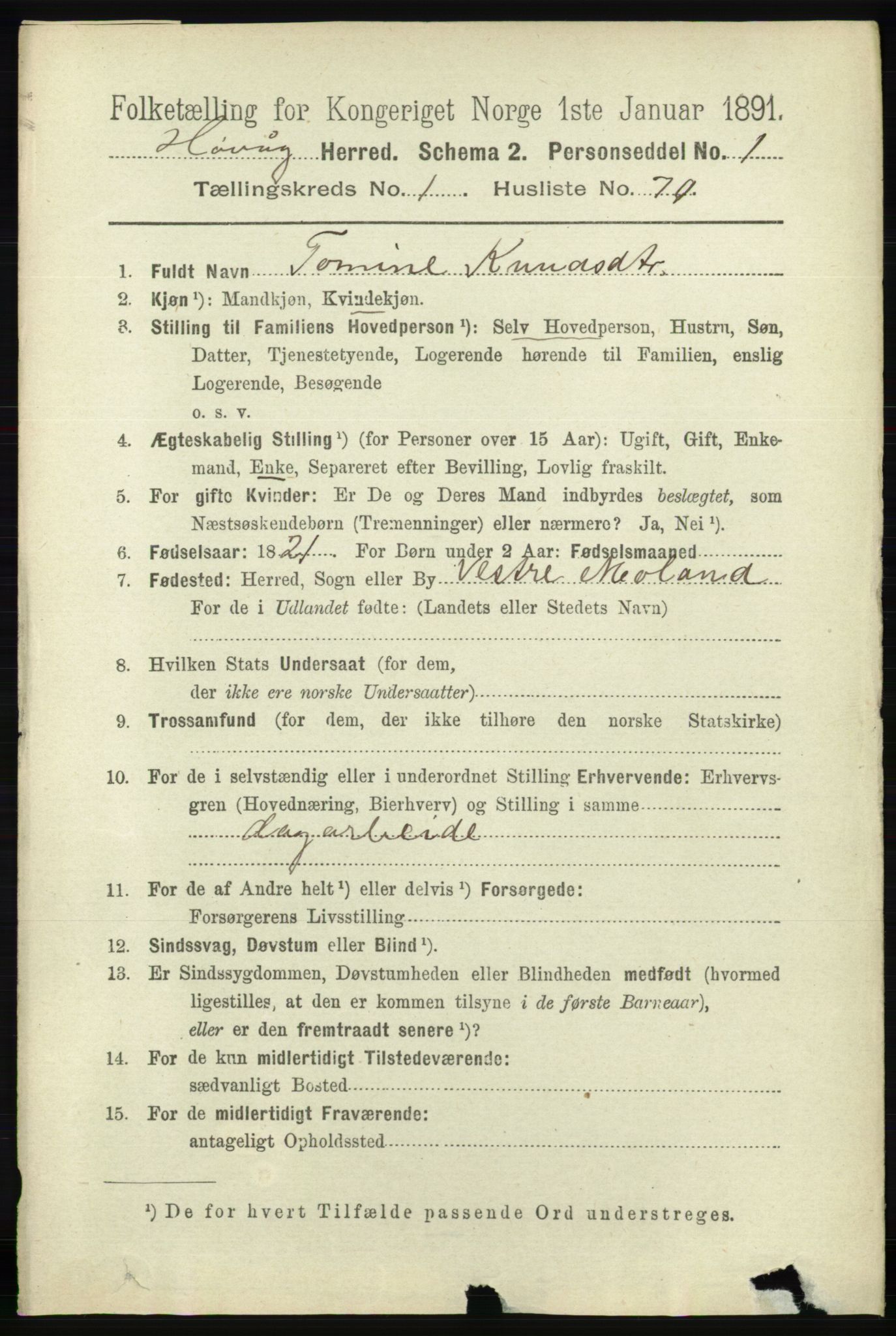 RA, 1891 census for 0927 Høvåg, 1891, p. 462