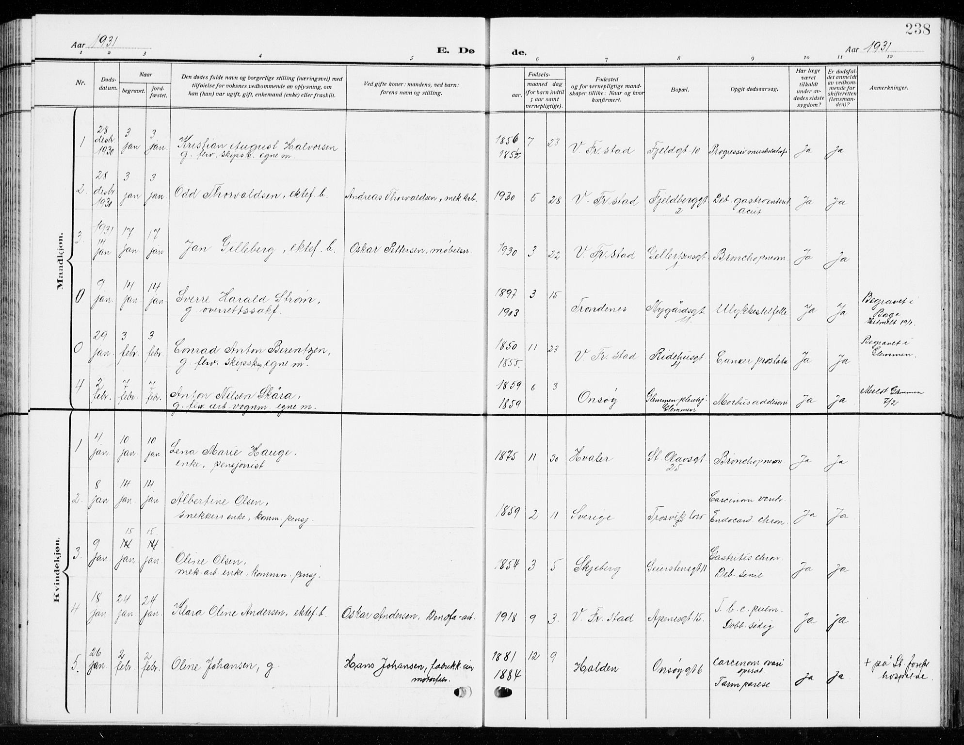 Fredrikstad domkirkes prestekontor Kirkebøker, SAO/A-10906/G/Ga/L0004: Parish register (copy) no. 4, 1910-1944, p. 238
