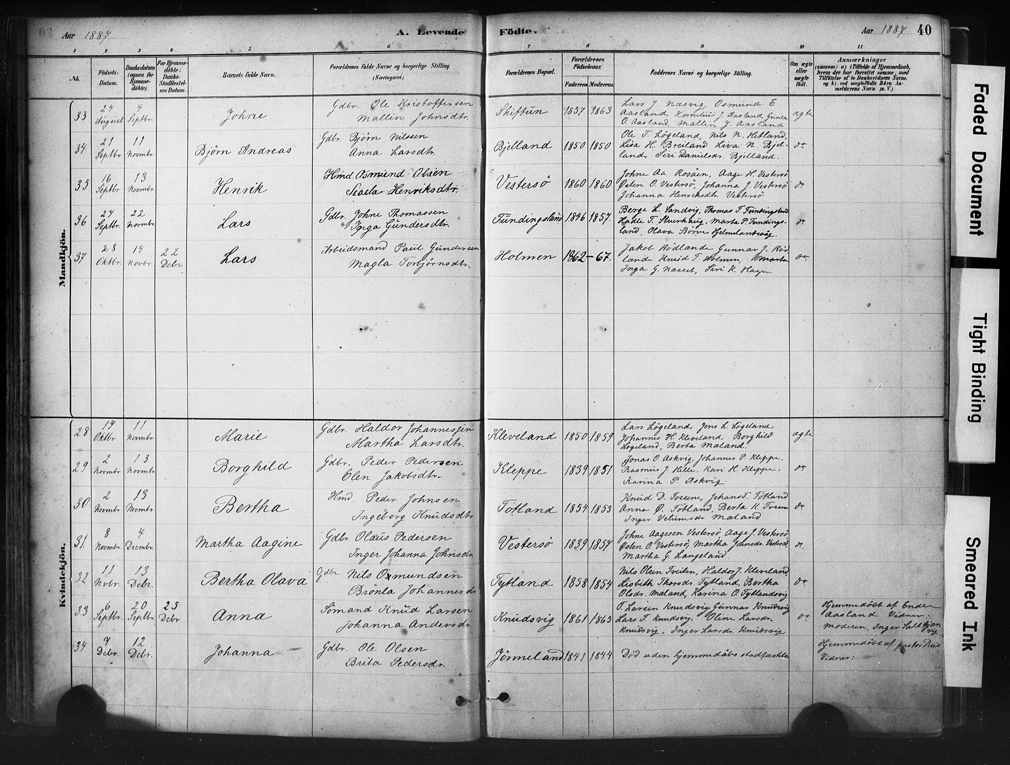 Hjelmeland sokneprestkontor, AV/SAST-A-101843/01/IV/L0014: Parish register (official) no. A 14, 1879-1900, p. 40