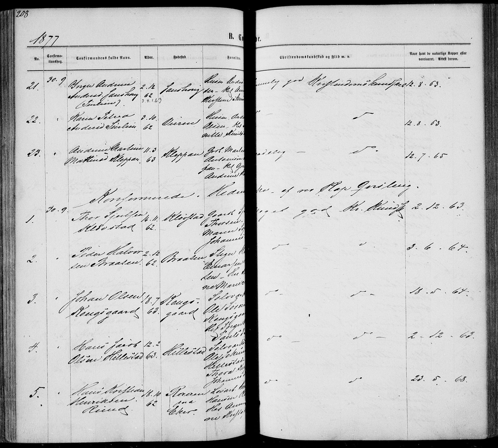 Sandsvær kirkebøker, AV/SAKO-A-244/F/Fa/L0007: Parish register (official) no. I 7, 1869-1877, p. 208