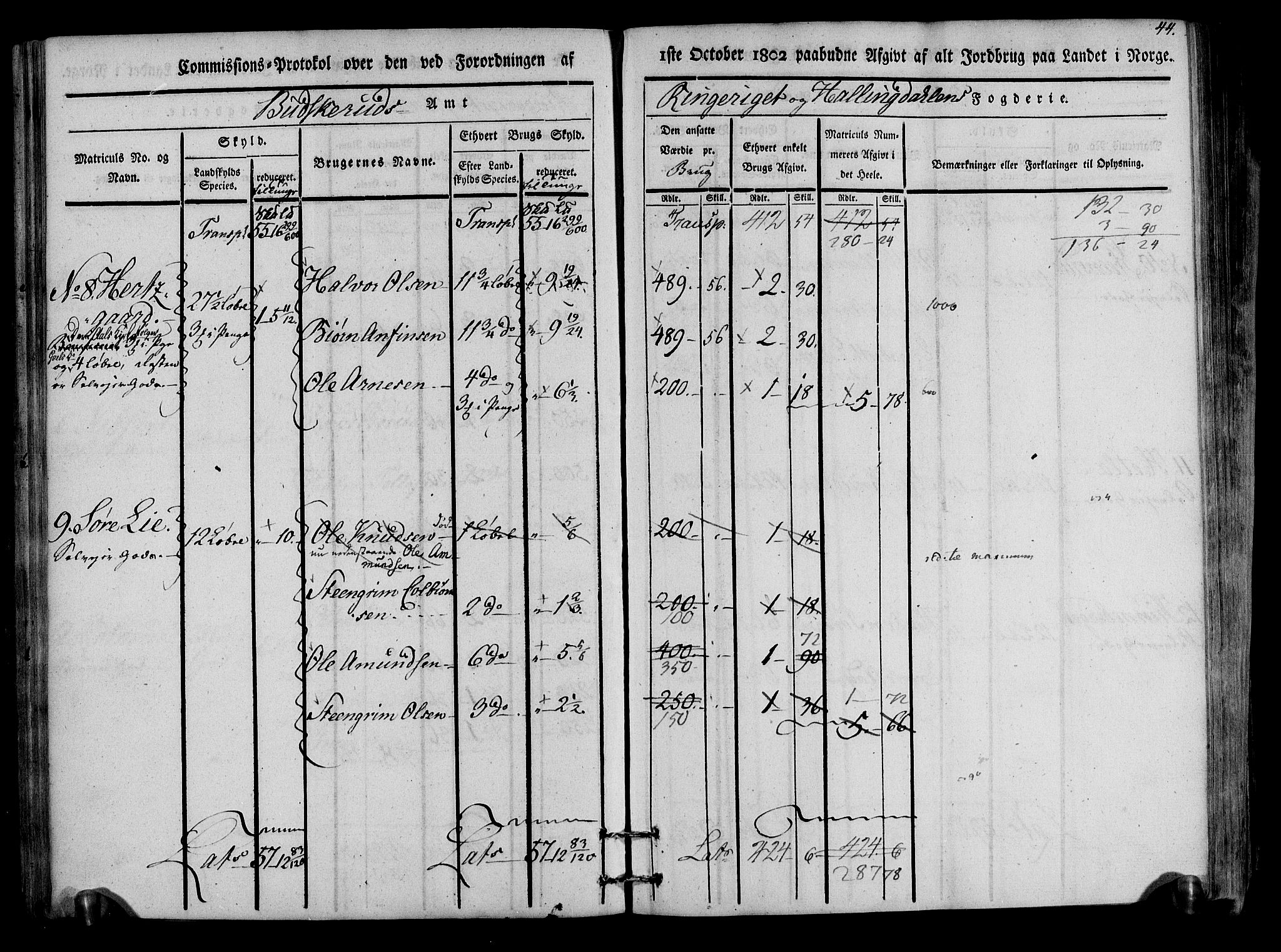 Rentekammeret inntil 1814, Realistisk ordnet avdeling, AV/RA-EA-4070/N/Ne/Nea/L0047: Ringerike og Hallingdal fogderi. Kommisjonsprotokoll for Nes prestegjeld, 1803, p. 46