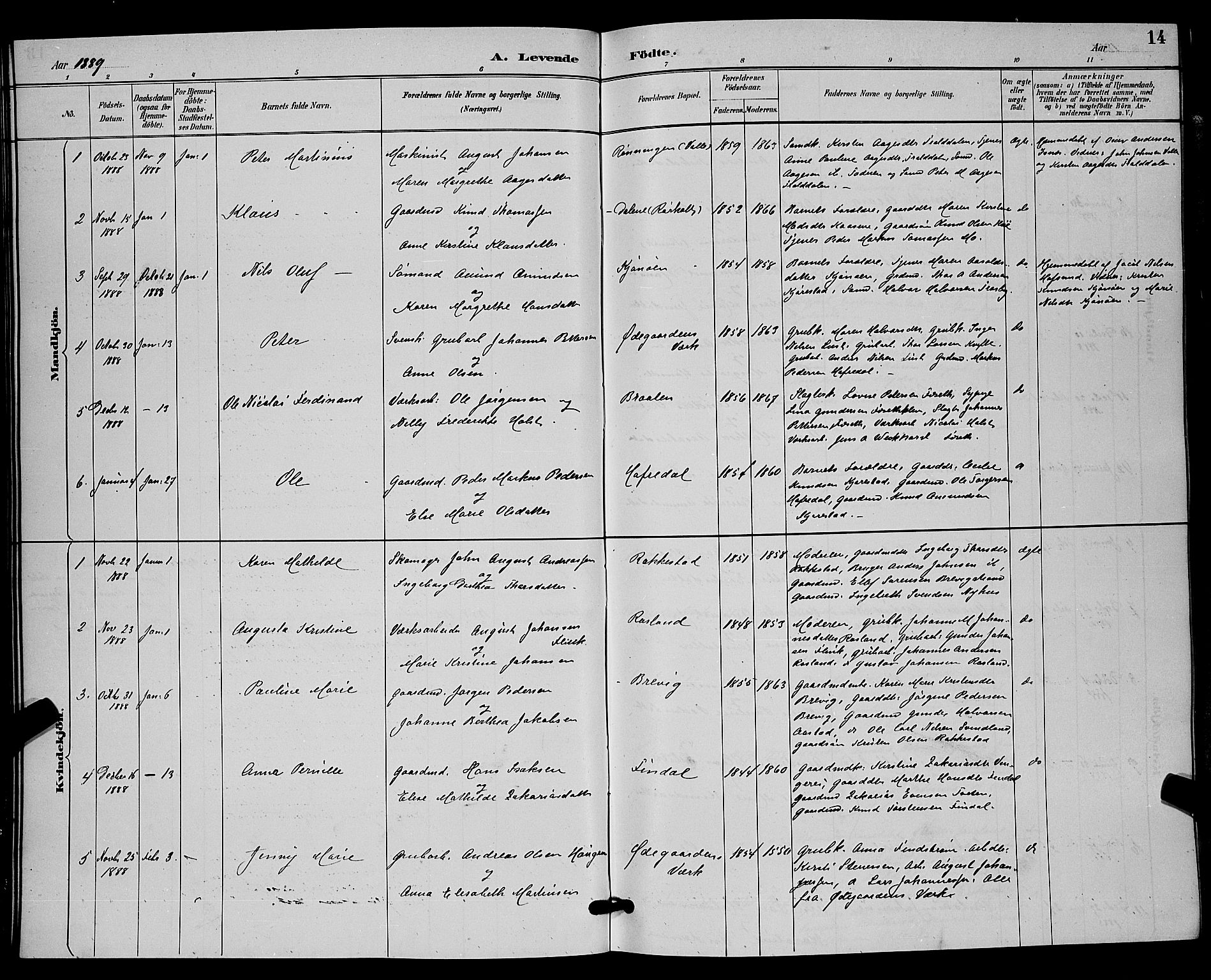 Bamble kirkebøker, AV/SAKO-A-253/G/Ga/L0009: Parish register (copy) no. I 9, 1888-1900, p. 14