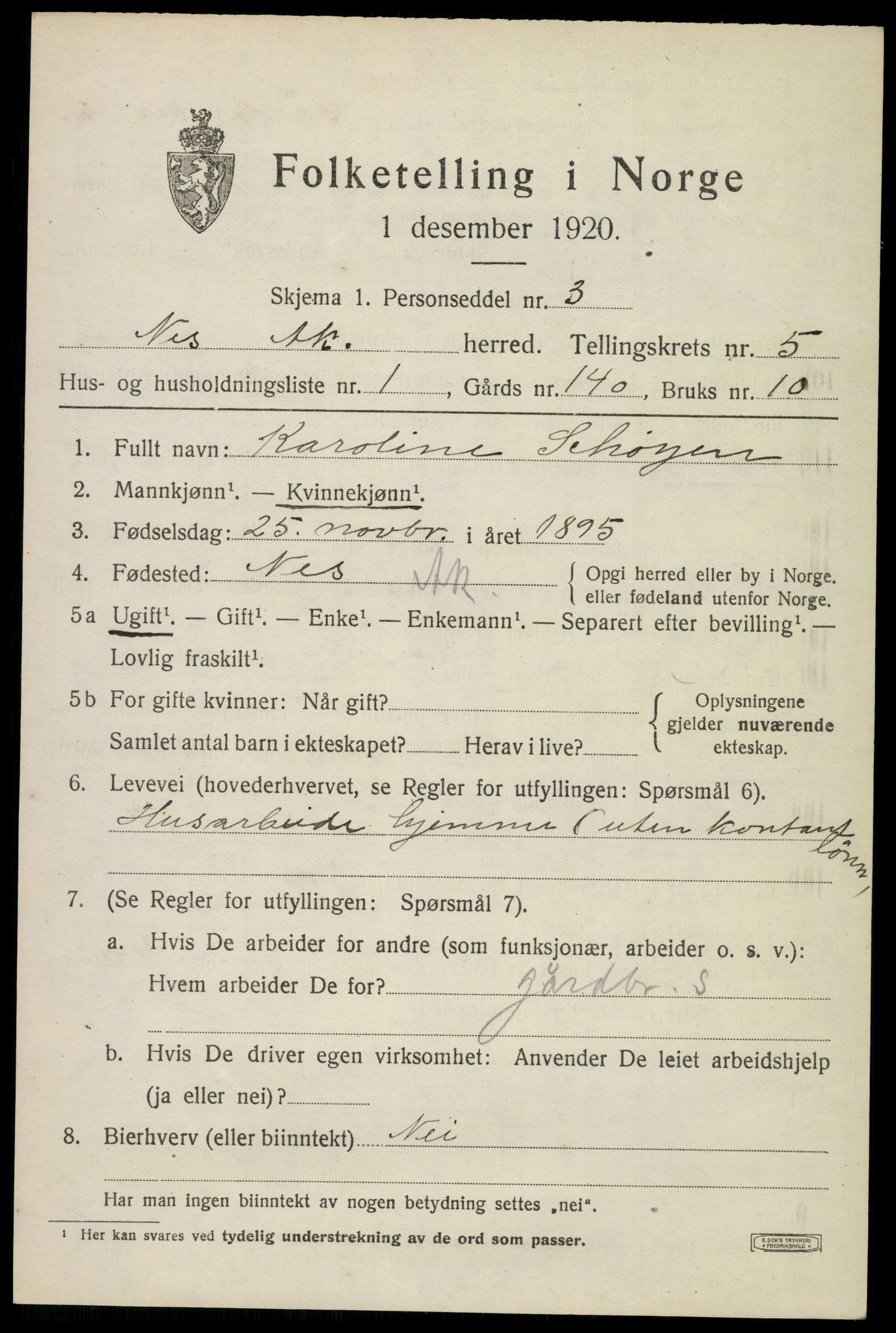 SAO, 1920 census for Nes, 1920, p. 6462