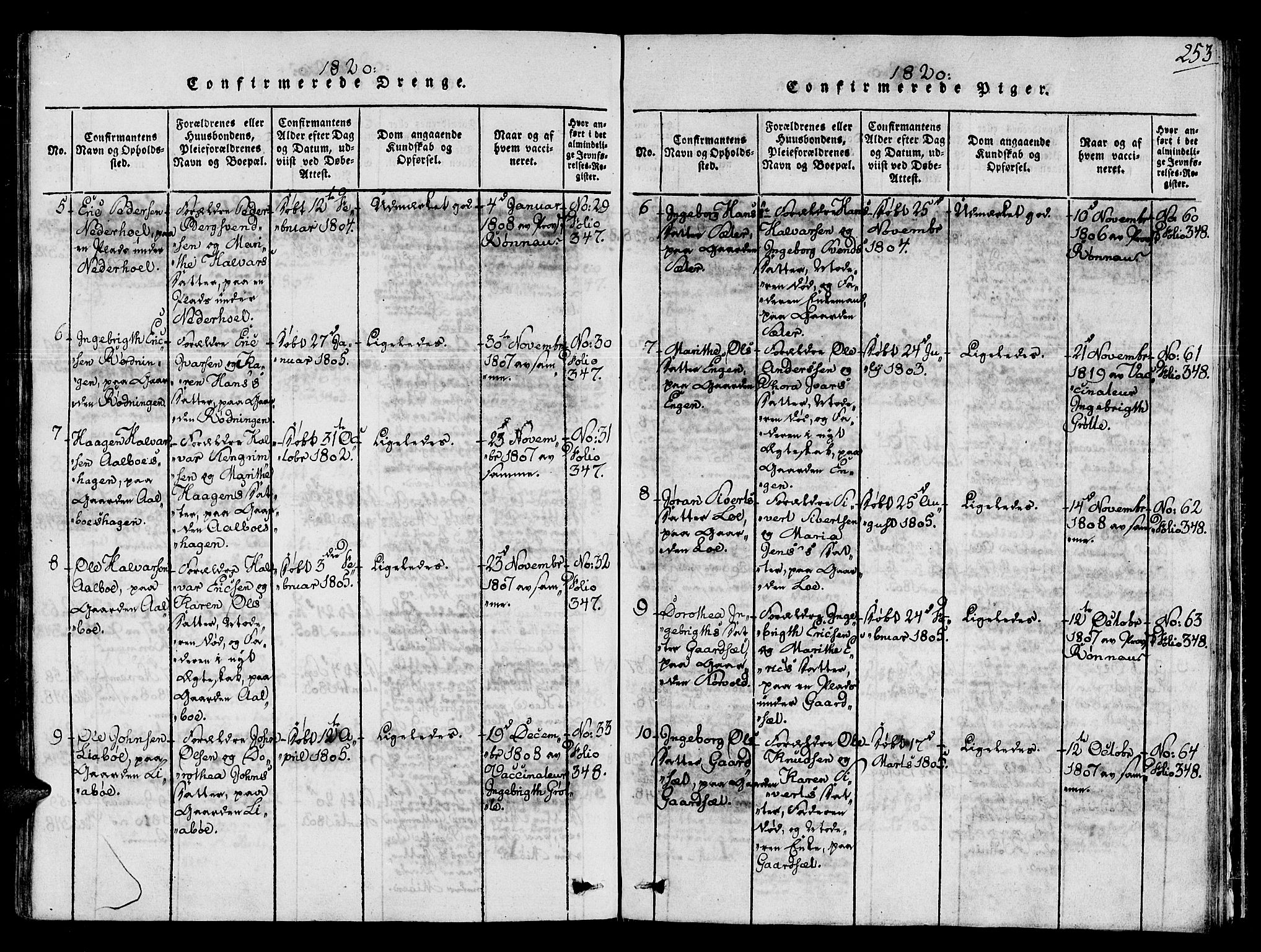 Ministerialprotokoller, klokkerbøker og fødselsregistre - Sør-Trøndelag, SAT/A-1456/678/L0895: Parish register (official) no. 678A05 /1, 1816-1821, p. 253