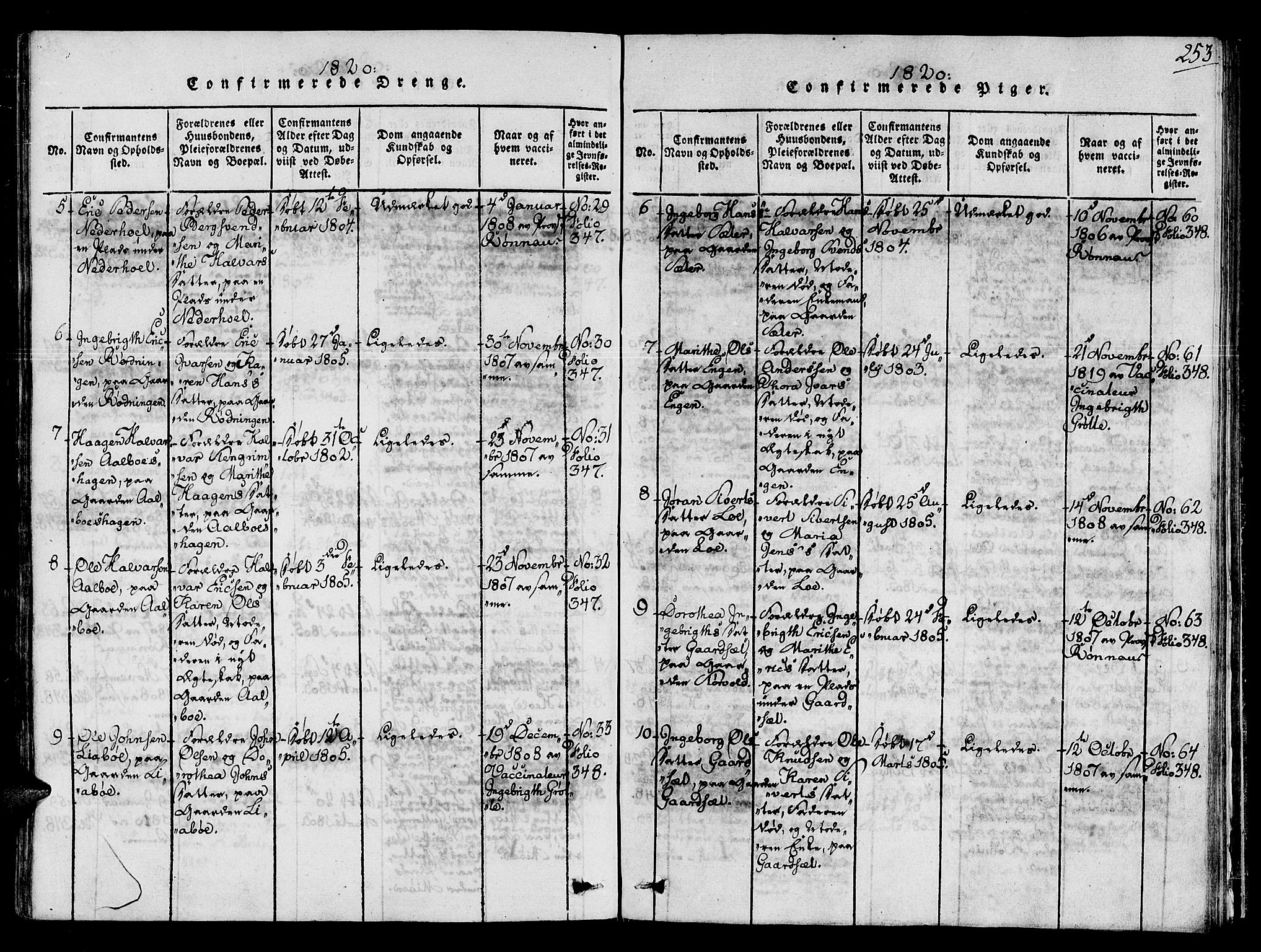 Ministerialprotokoller, klokkerbøker og fødselsregistre - Sør-Trøndelag, AV/SAT-A-1456/678/L0895: Parish register (official) no. 678A05 /1, 1816-1821, p. 253