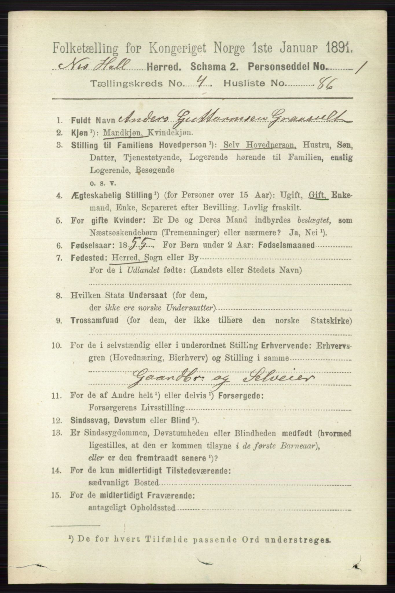 RA, 1891 census for 0616 Nes, 1891, p. 2567