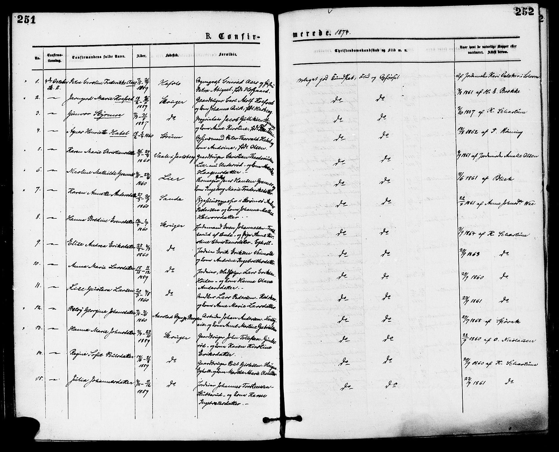 Skoger kirkebøker, AV/SAKO-A-59/F/Fa/L0005: Parish register (official) no. I 5, 1873-1884, p. 251-252