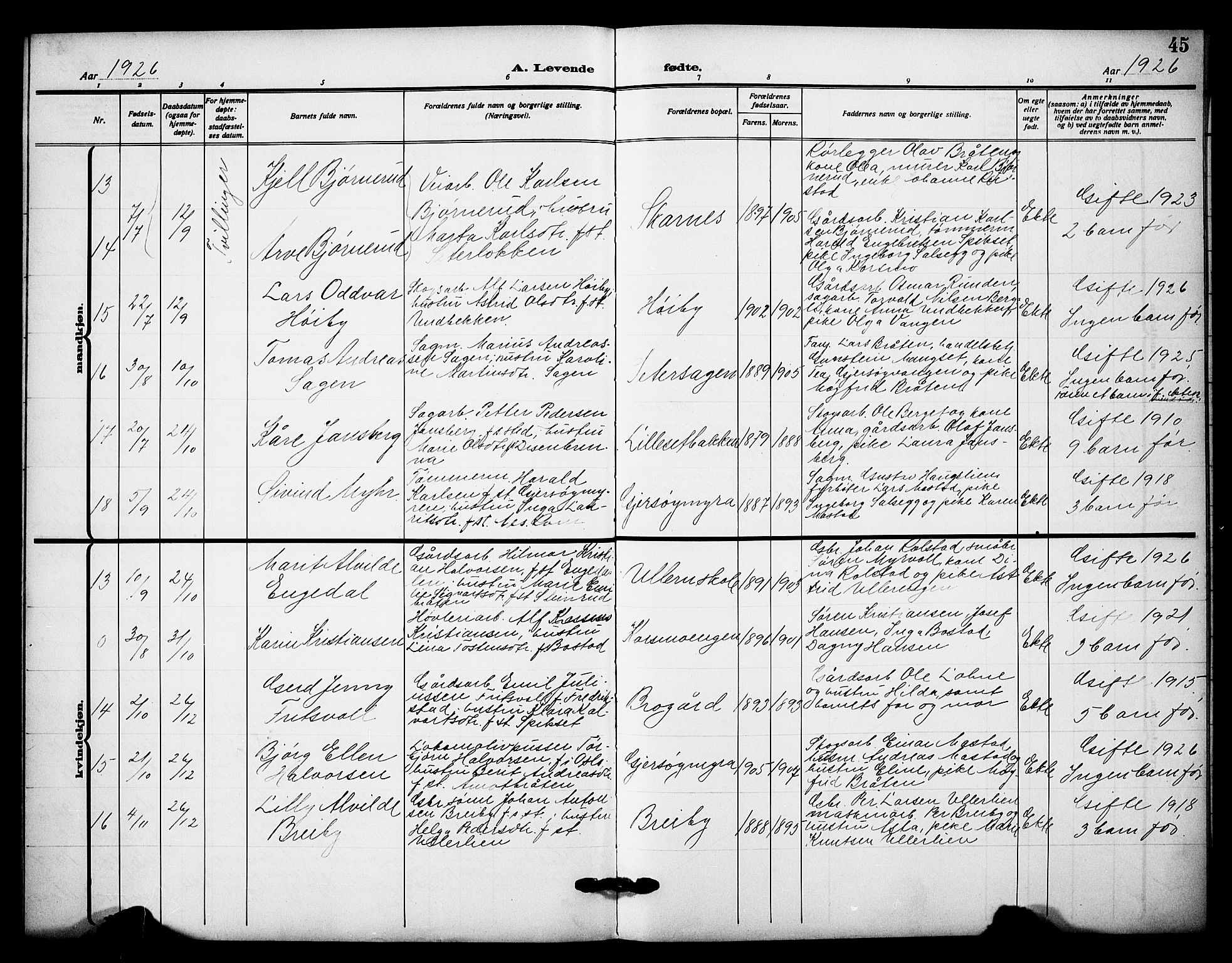 Sør-Odal prestekontor, AV/SAH-PREST-030/H/Ha/Hab/L0009: Parish register (copy) no. 9, 1915-1927, p. 45