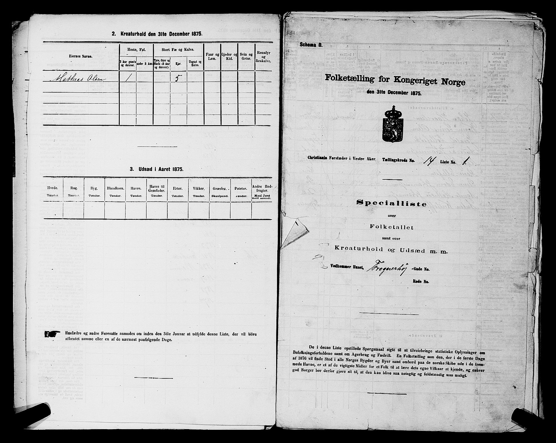 RA, 1875 census for 0218aP Vestre Aker, 1875, p. 2245