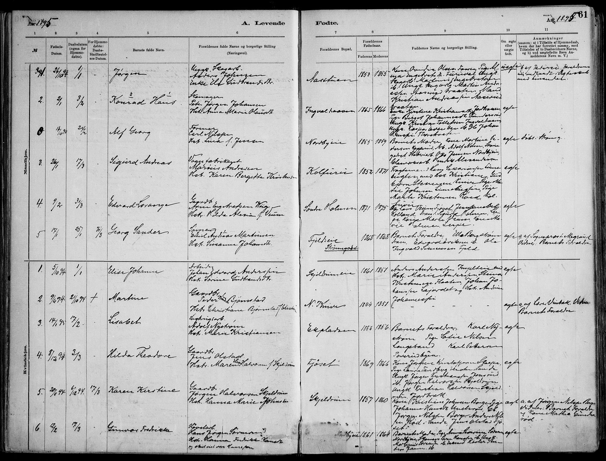 Skoger kirkebøker, AV/SAKO-A-59/F/Fa/L0006: Parish register (official) no. I 6, 1885-1910, p. 61