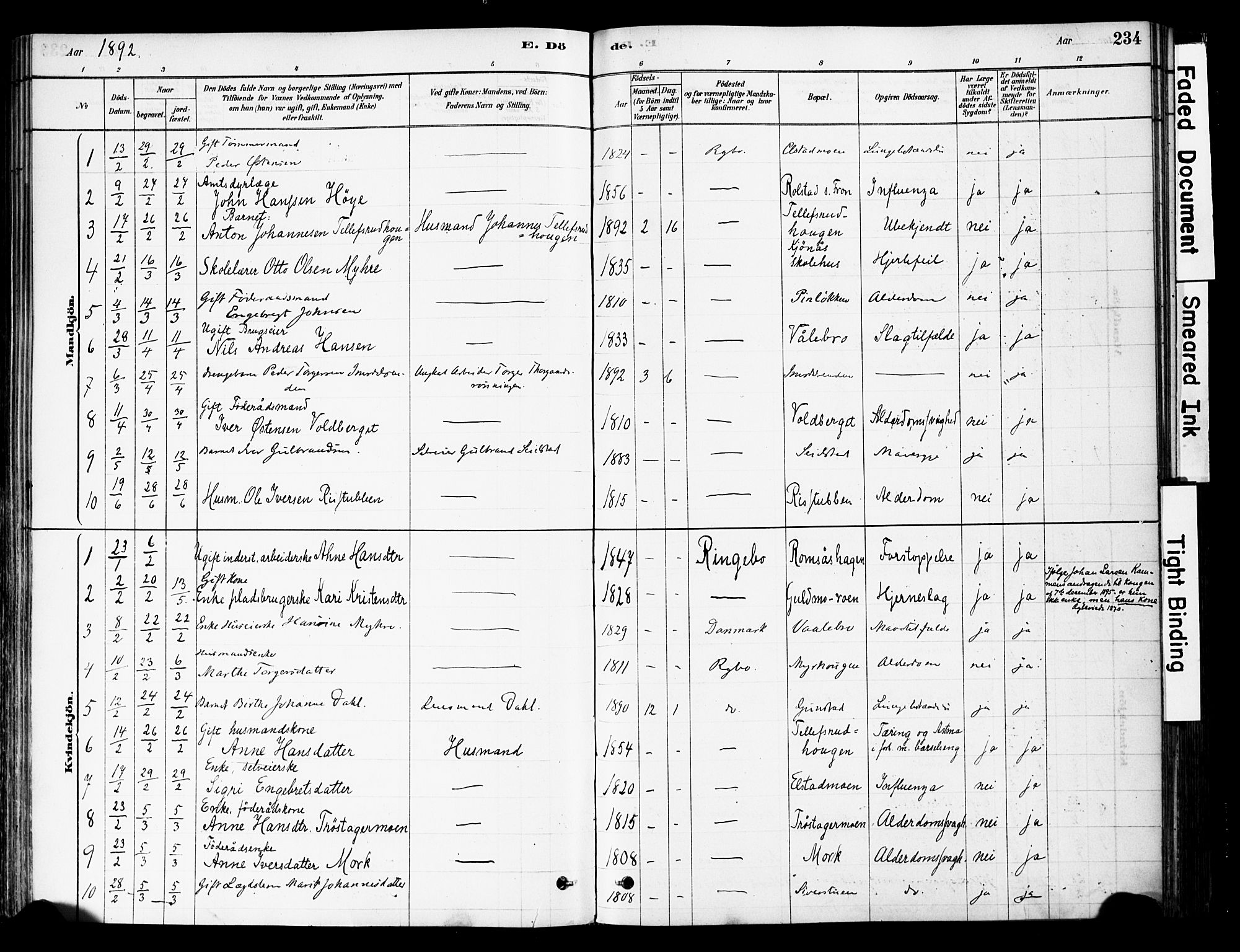 Ringebu prestekontor, AV/SAH-PREST-082/H/Ha/Haa/L0008: Parish register (official) no. 8, 1878-1898, p. 234