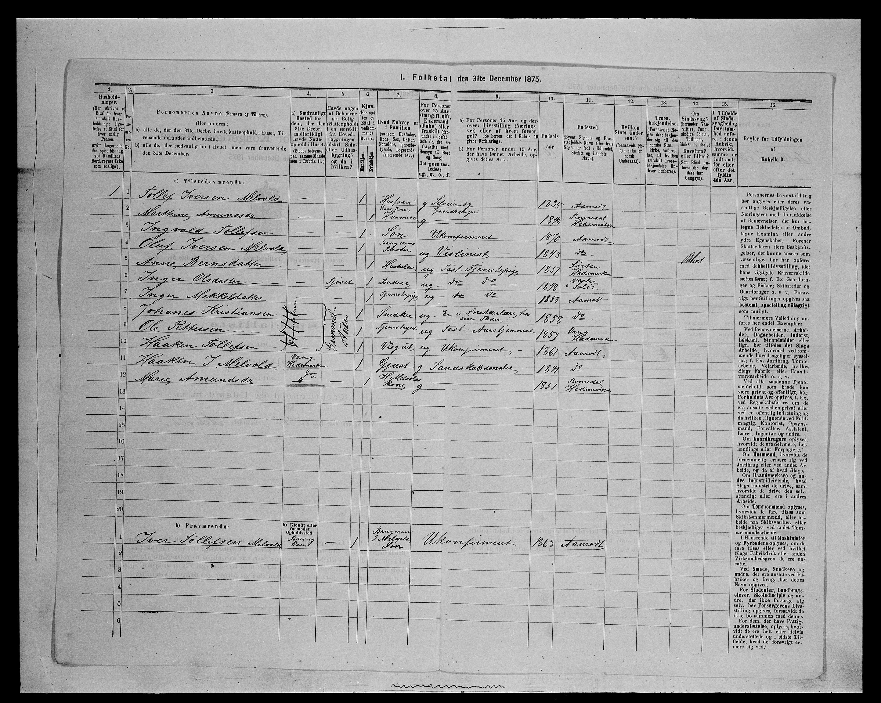 SAH, 1875 census for 0429P Åmot, 1875, p. 1002