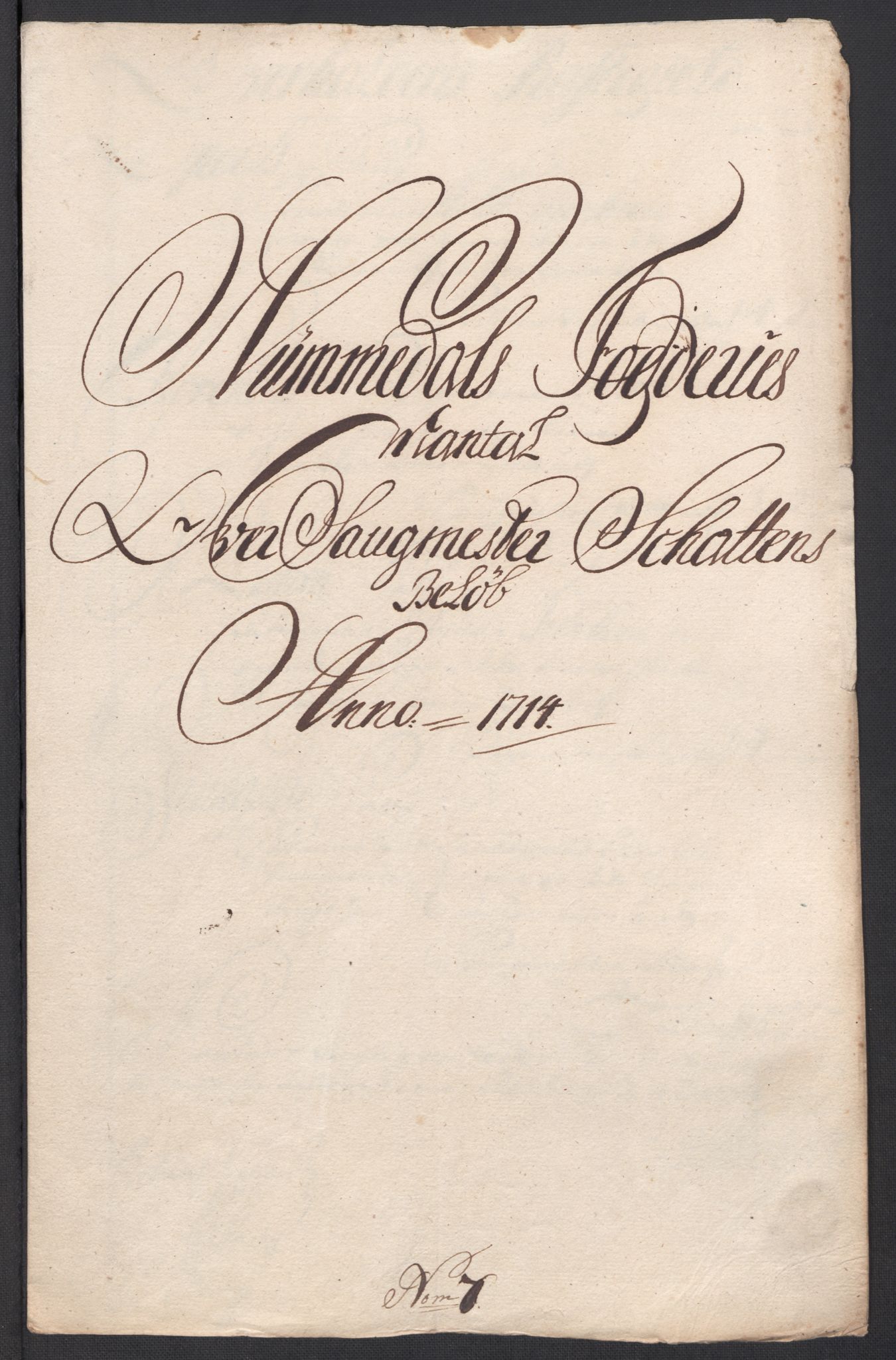 Rentekammeret inntil 1814, Reviderte regnskaper, Fogderegnskap, RA/EA-4092/R64/L4435: Fogderegnskap Namdal, 1714, p. 111