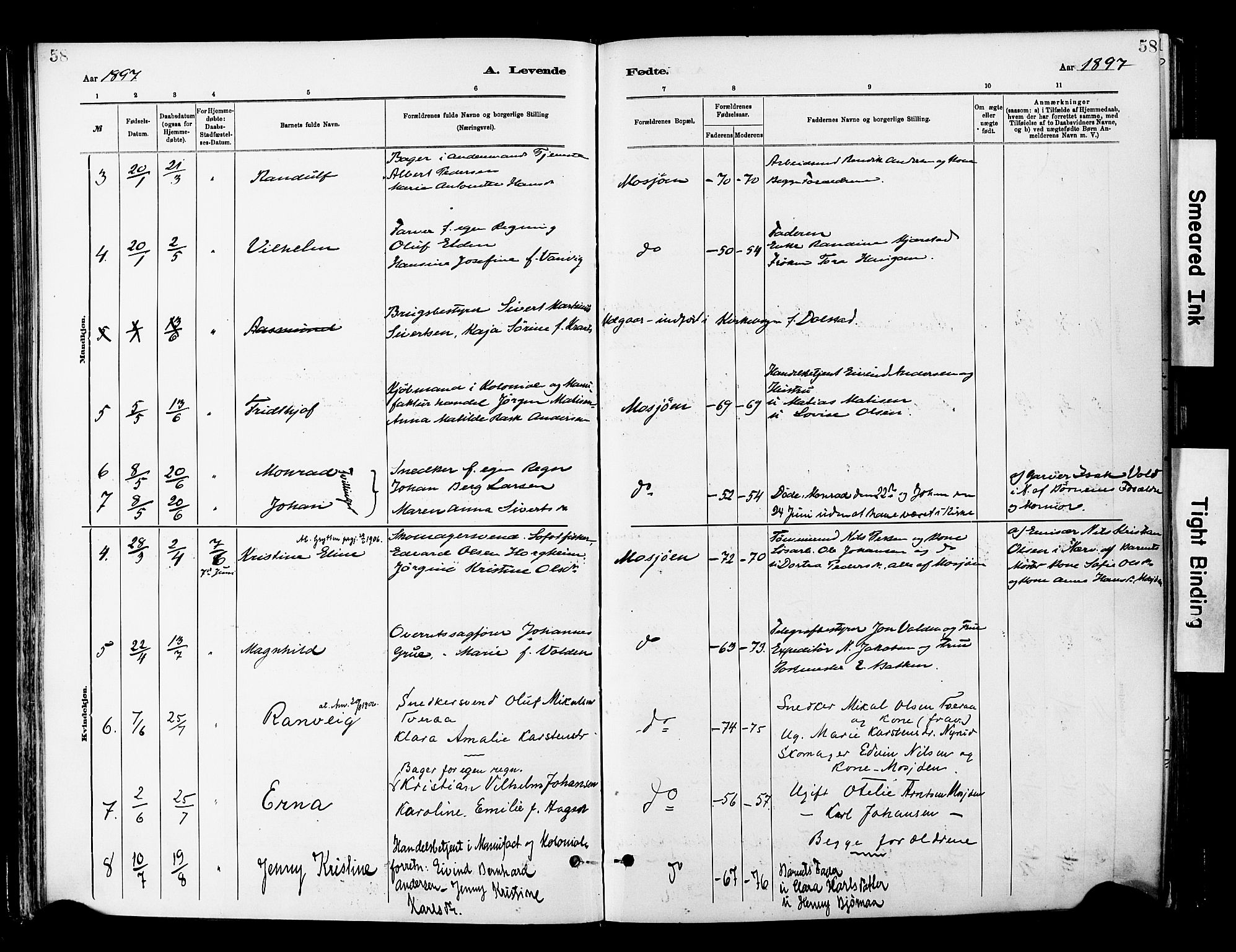 Ministerialprotokoller, klokkerbøker og fødselsregistre - Nordland, SAT/A-1459/820/L0296: Parish register (official) no. 820A17, 1880-1903, p. 58