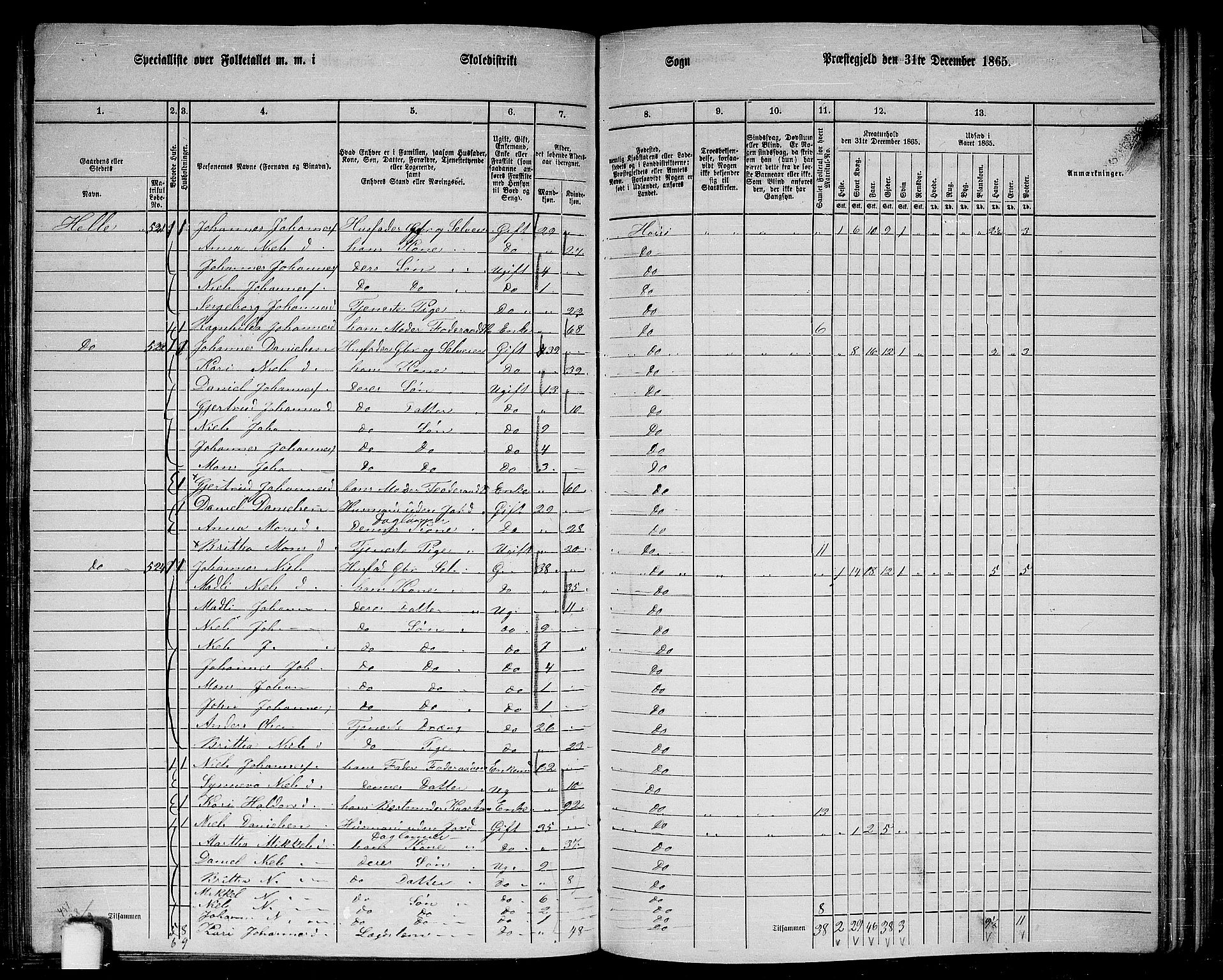 RA, 1865 census for Haus, 1865, p. 206