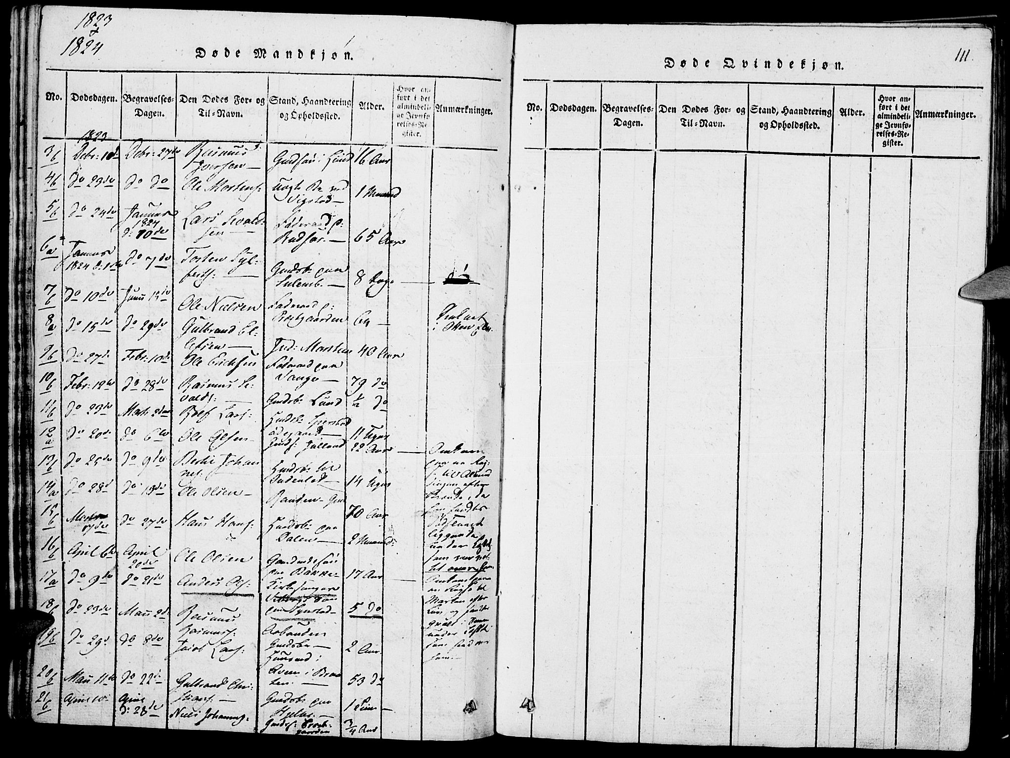 Lom prestekontor, SAH/PREST-070/K/L0004: Parish register (official) no. 4, 1815-1825, p. 111