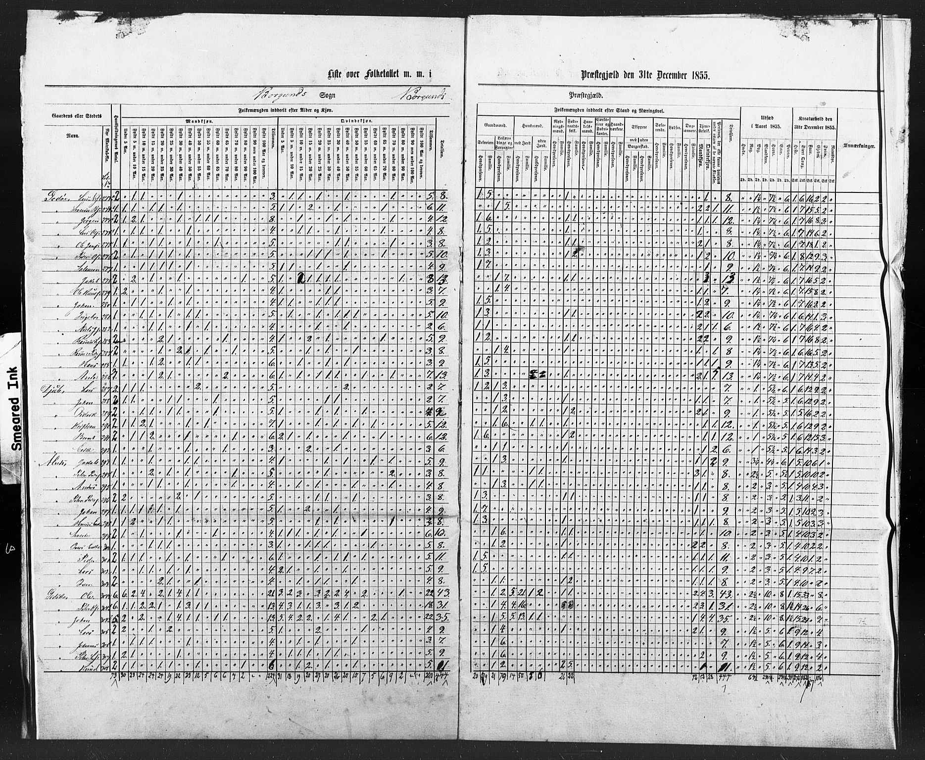 SAT, Census 1855 for Borgund, 1855, p. 80