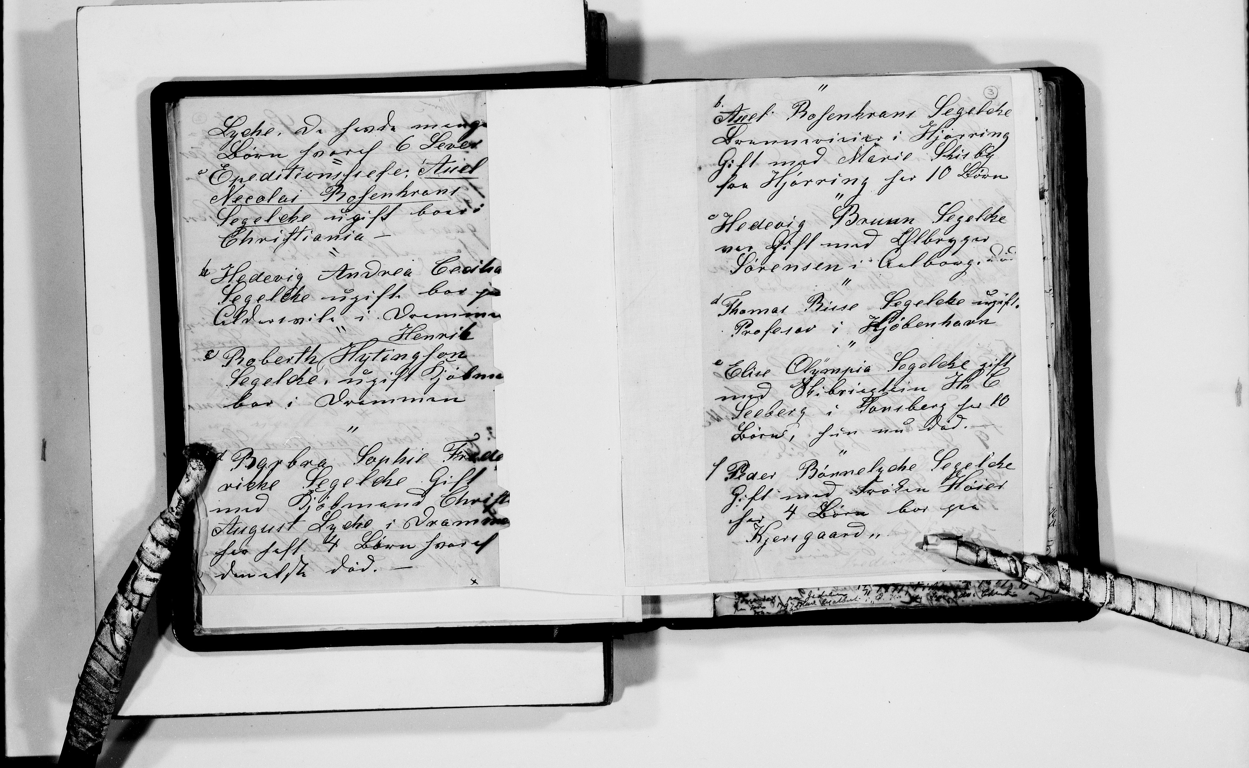 Lassens samlinger, AV/RA-PA-0051/F/Fb/L0053: Personalhistoriske og genealogiske opptegnelser: Segelcke - Steen, 1500-1907, p. 6
