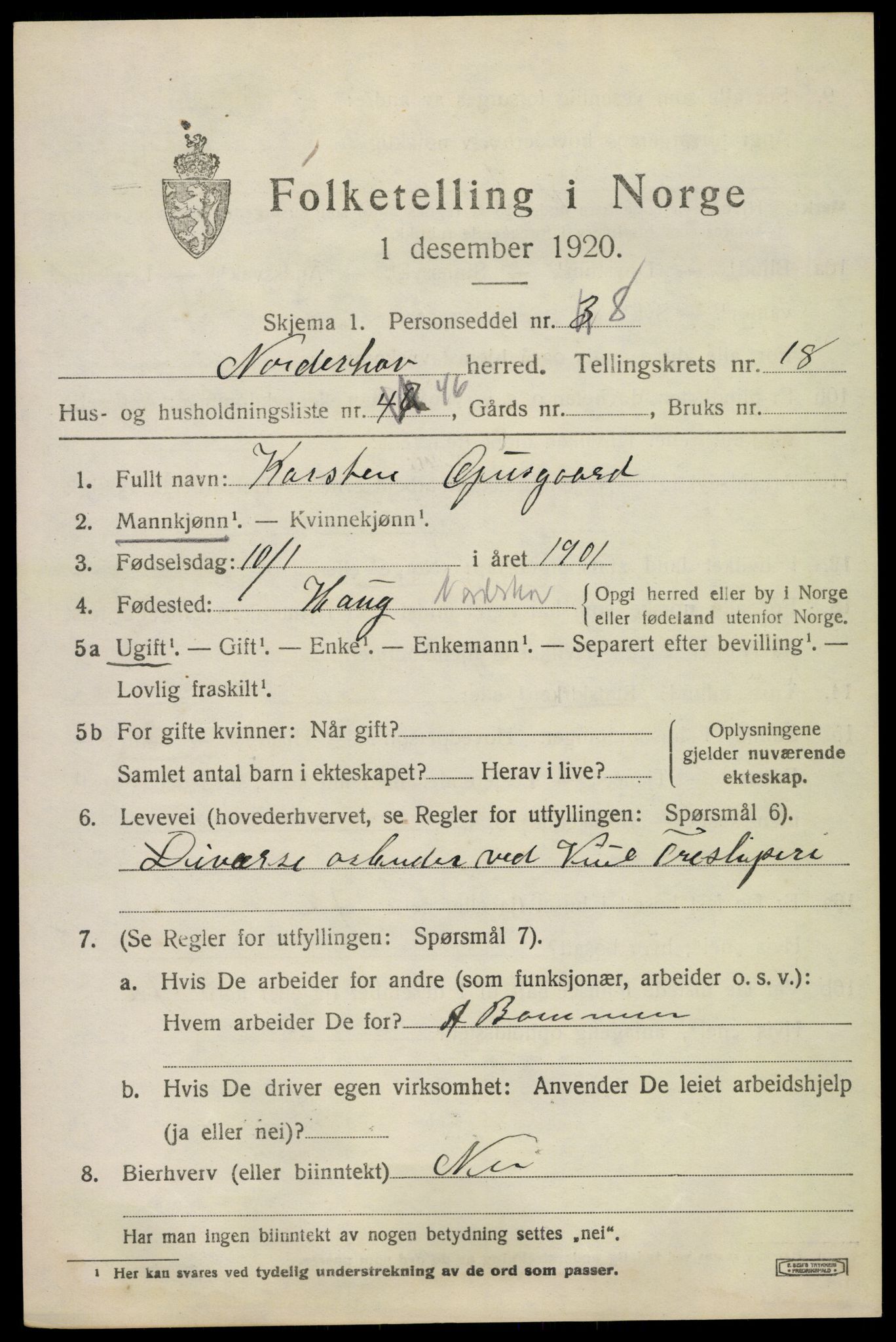 SAKO, 1920 census for Norderhov, 1920, p. 20298