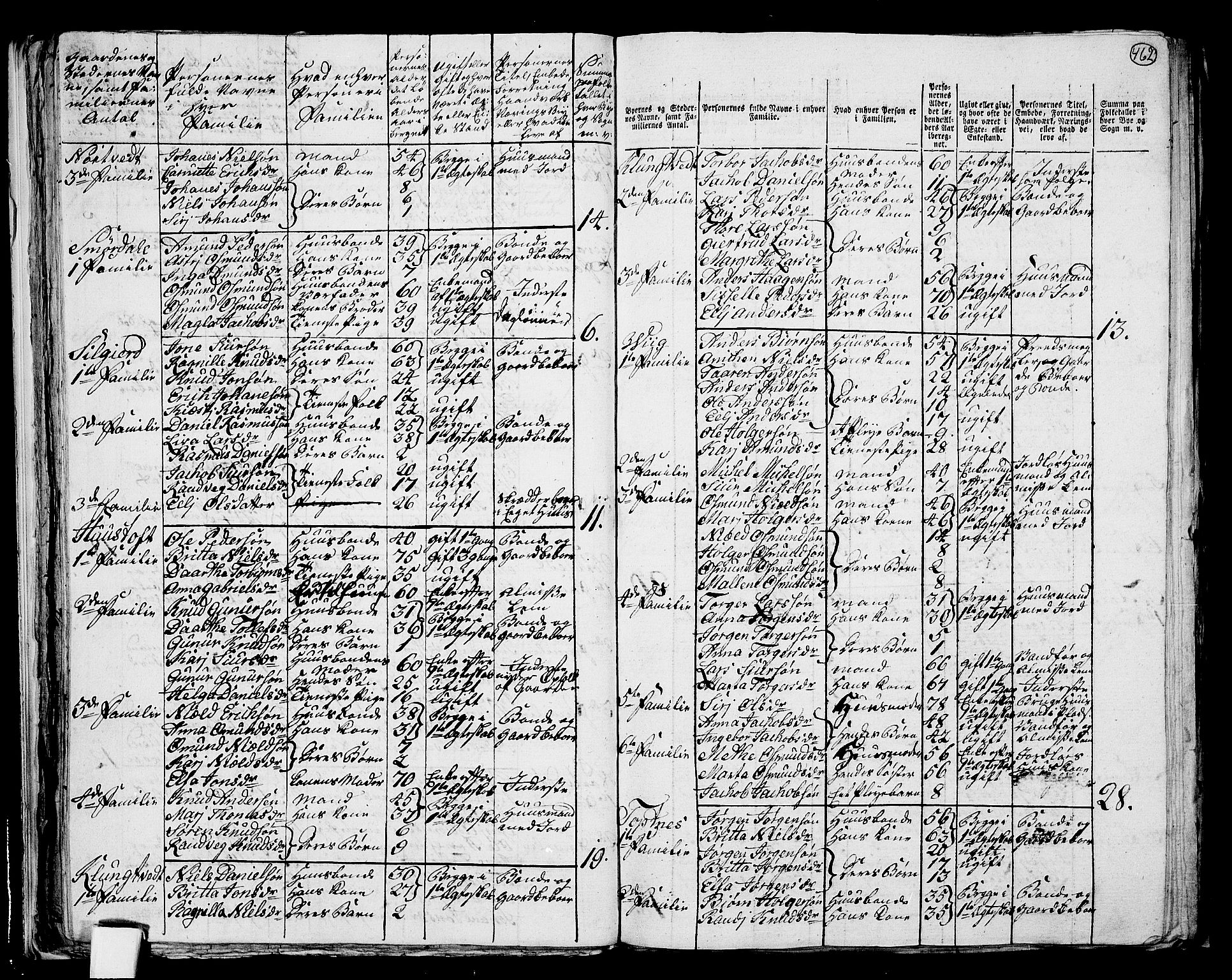 RA, 1801 census for 1139P Nedstrand, 1801, p. 461b-462a