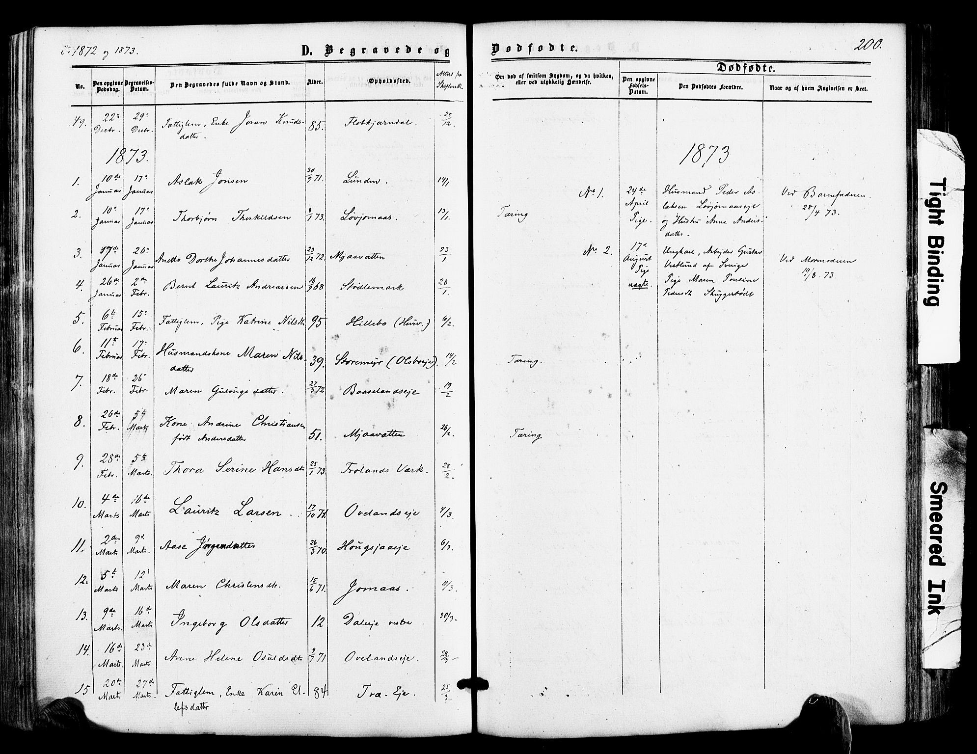 Froland sokneprestkontor, SAK/1111-0013/F/Fa/L0003: Parish register (official) no. A 3, 1864-1881, p. 200