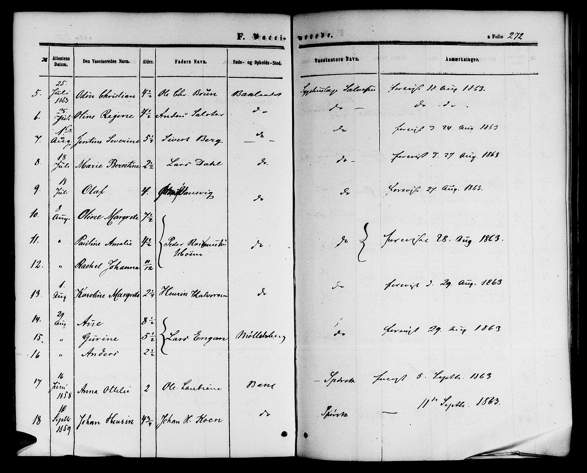 Ministerialprotokoller, klokkerbøker og fødselsregistre - Sør-Trøndelag, AV/SAT-A-1456/604/L0185: Parish register (official) no. 604A06, 1861-1865, p. 272