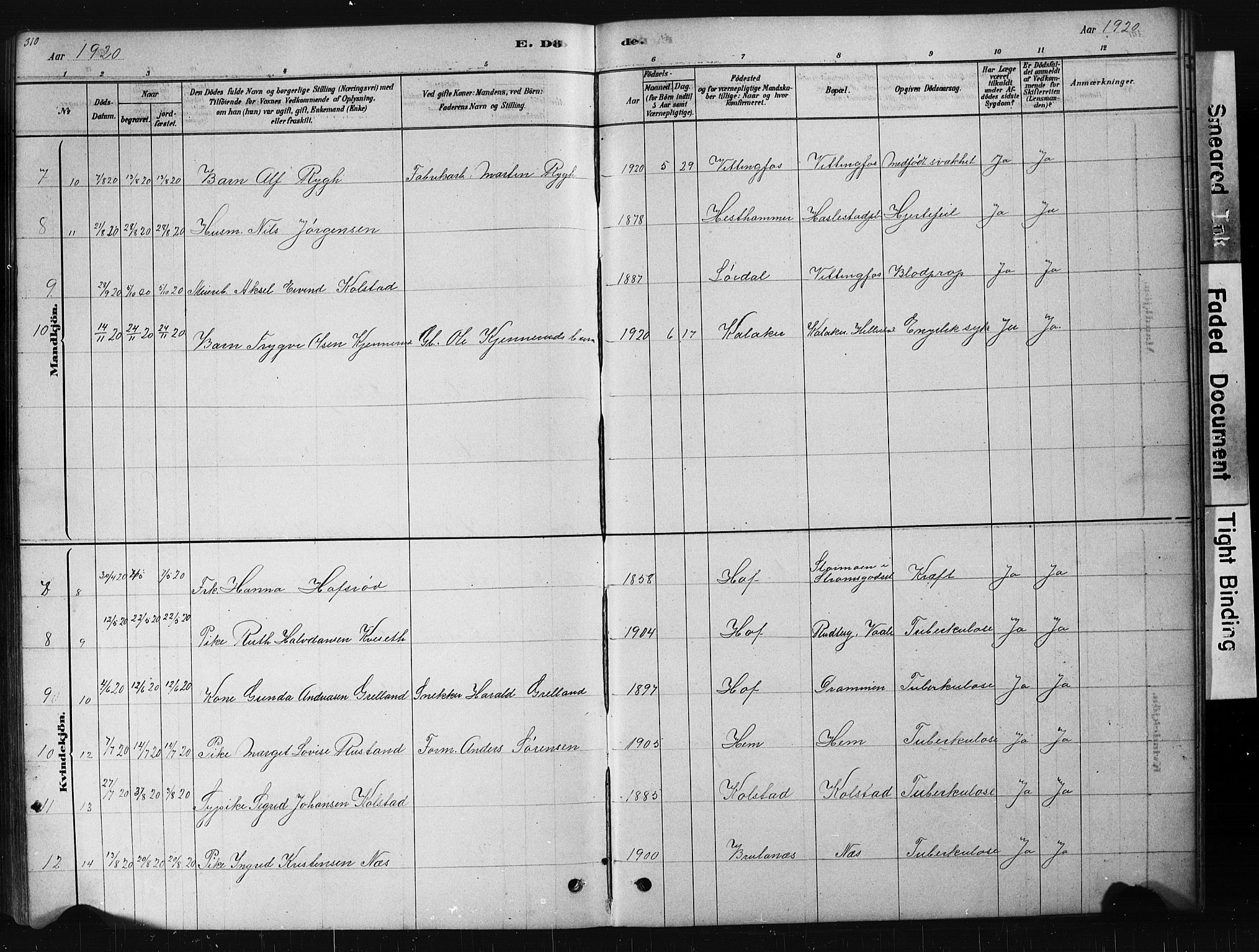 Hof kirkebøker, AV/SAKO-A-64/G/Ga/L0004: Parish register (copy) no. I 4, 1878-1930, p. 310