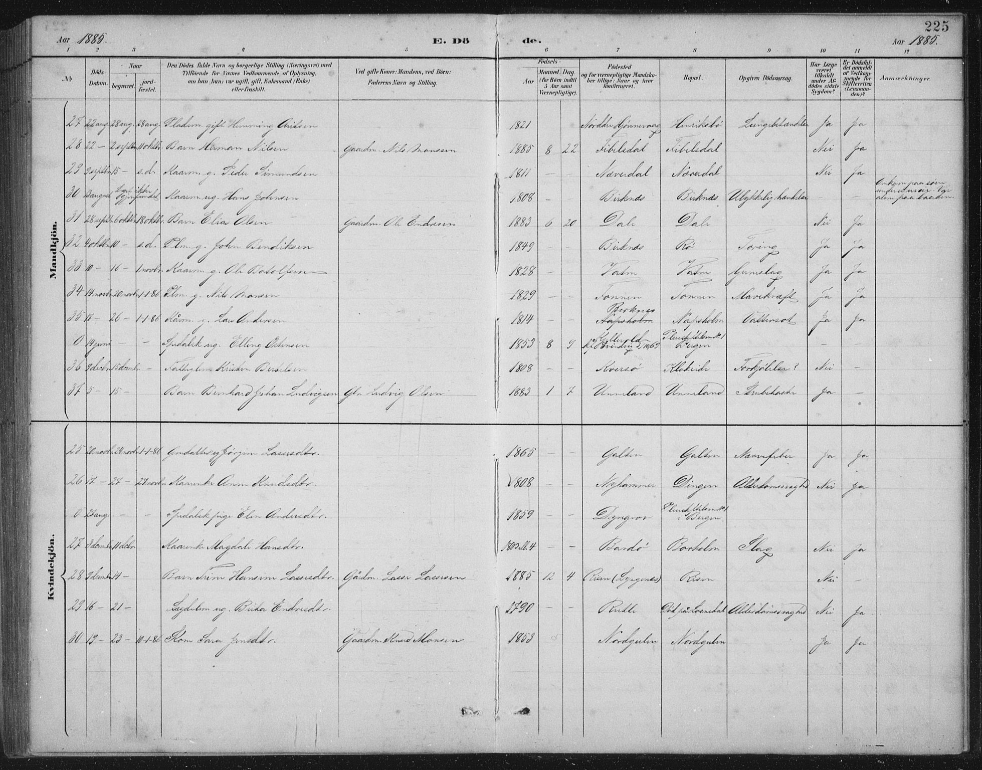 Gulen sokneprestembete, SAB/A-80201/H/Hab/Habb/L0003: Parish register (copy) no. B 3, 1884-1907, p. 225