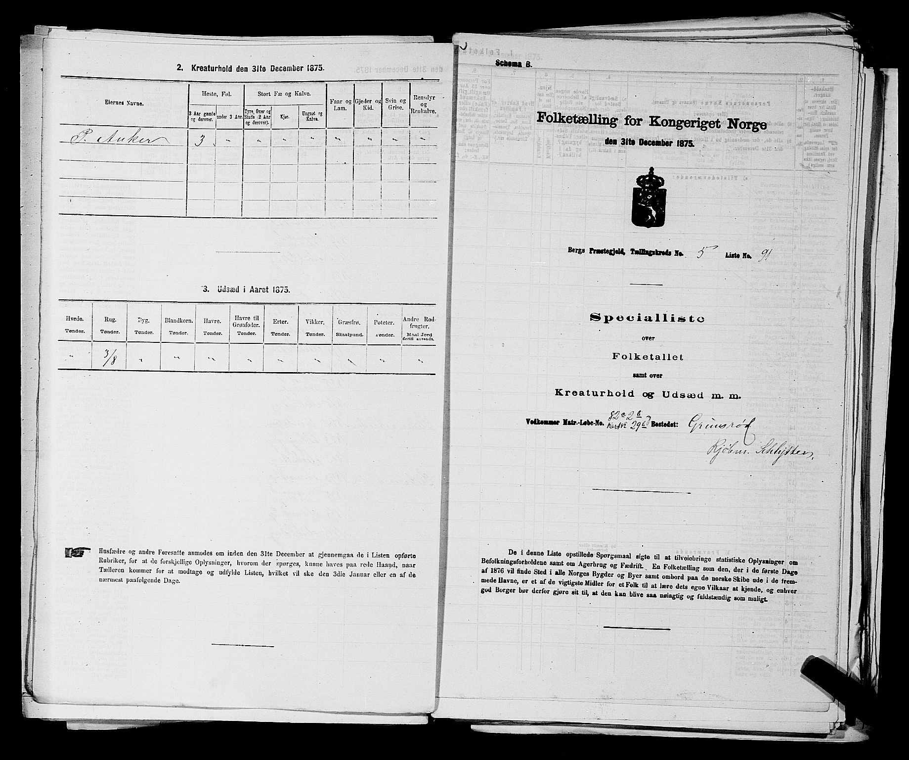 RA, 1875 census for 0116P Berg, 1875, p. 717