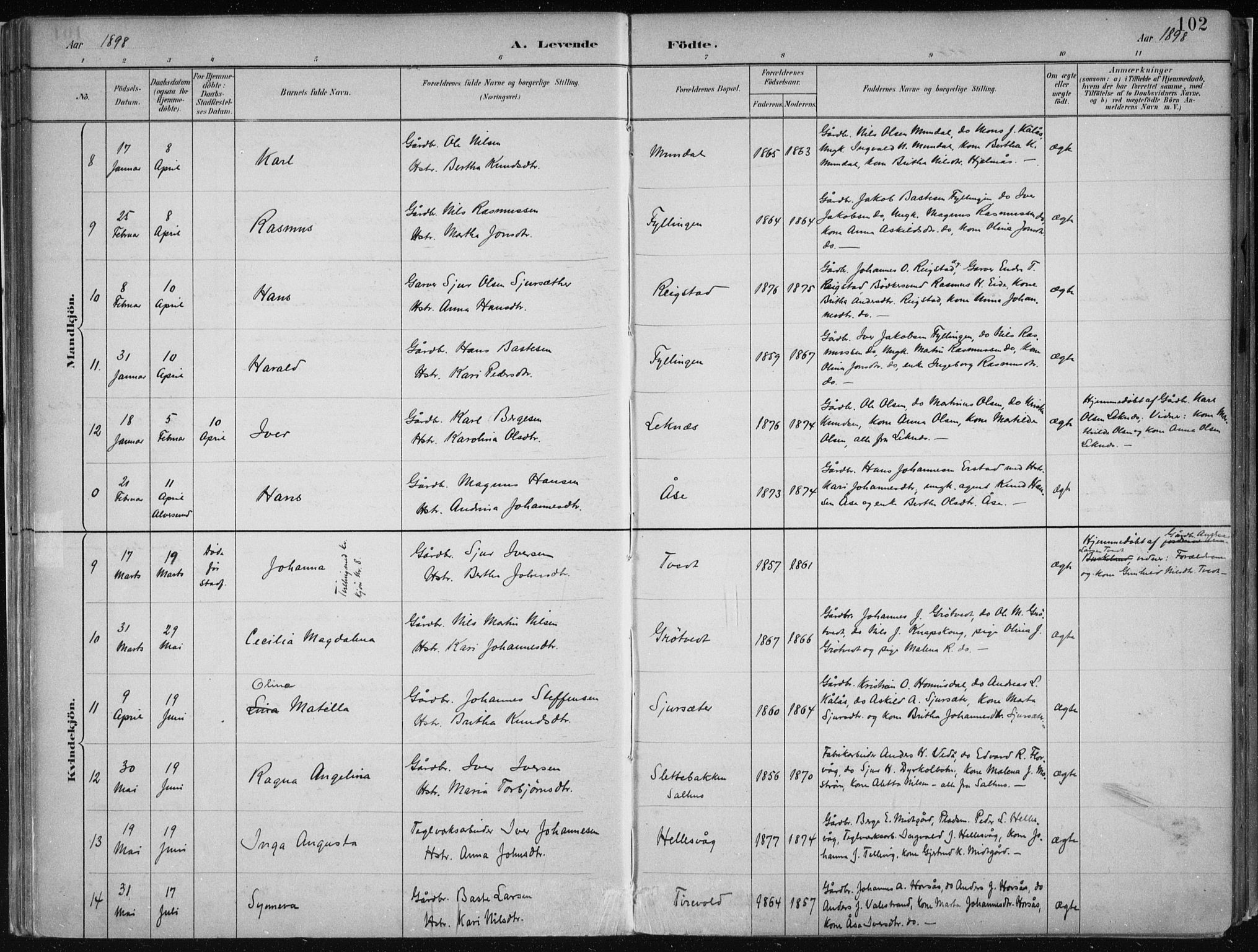 Hamre sokneprestembete, SAB/A-75501/H/Ha/Haa/Haab/L0001: Parish register (official) no. B  1, 1882-1905, p. 102