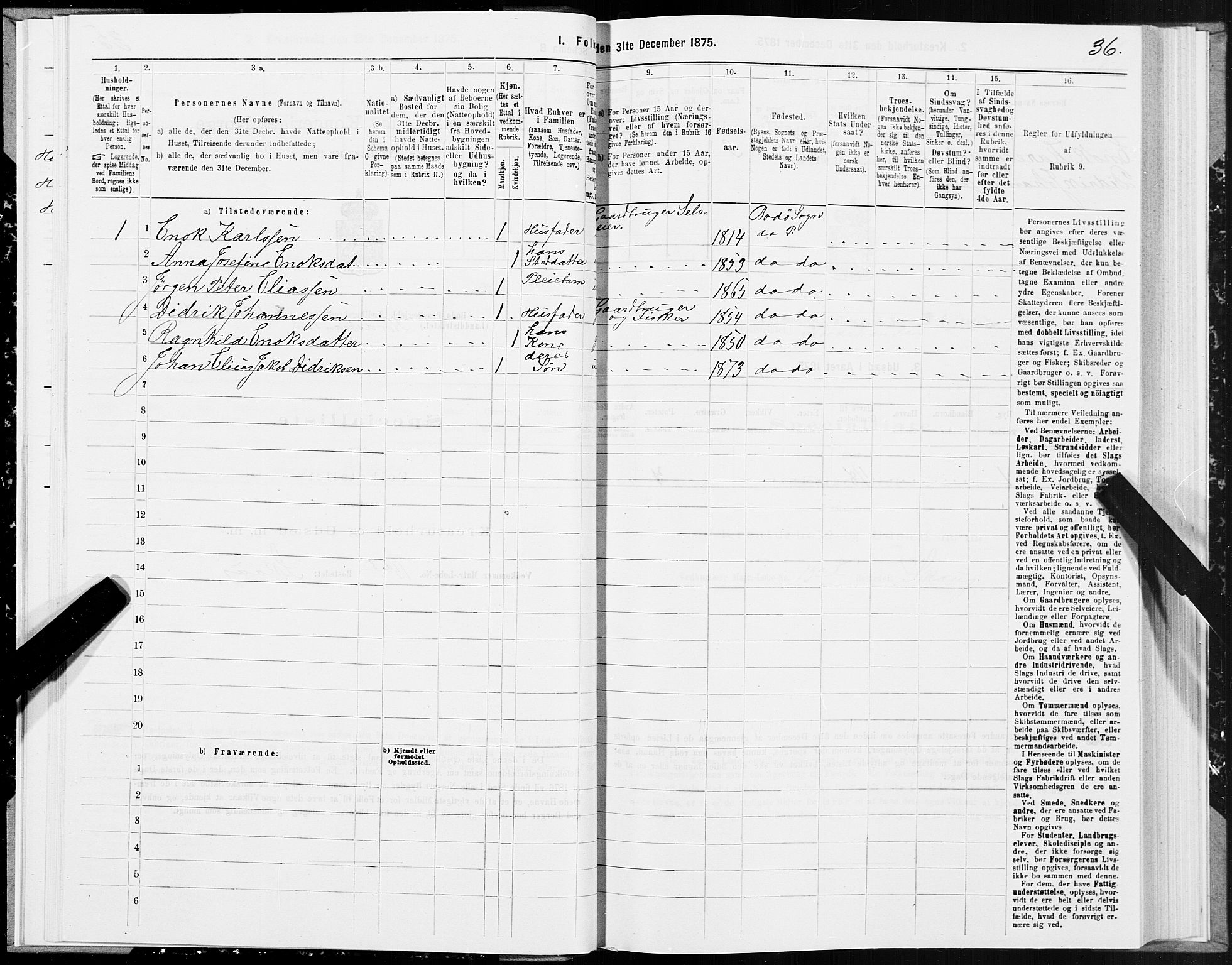 SAT, 1875 census for 1843L Bodø/Bodø, 1875, p. 1036
