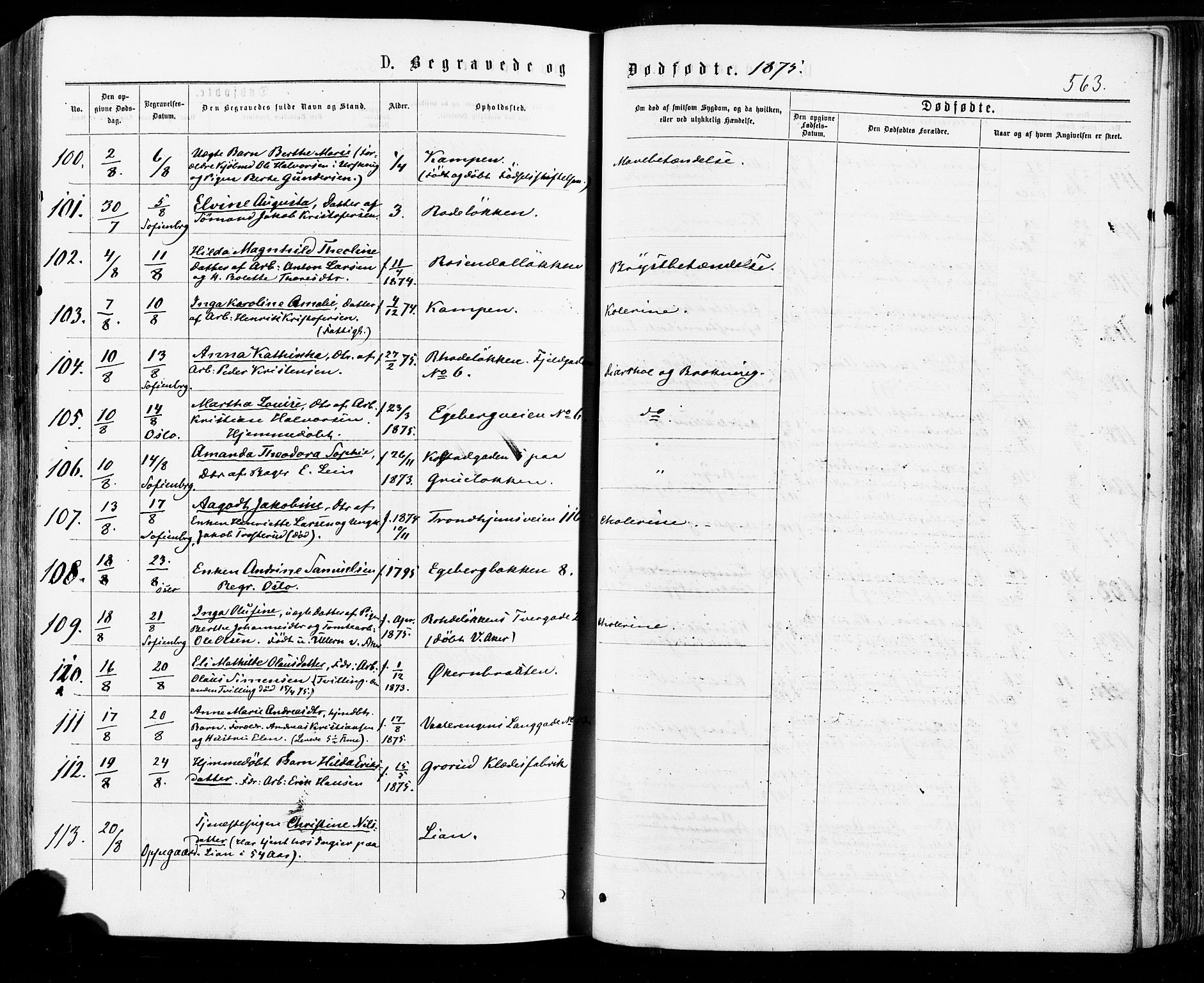 Østre Aker prestekontor Kirkebøker, AV/SAO-A-10840/F/Fa/L0004: Parish register (official) no. I 4, 1876-1889, p. 563