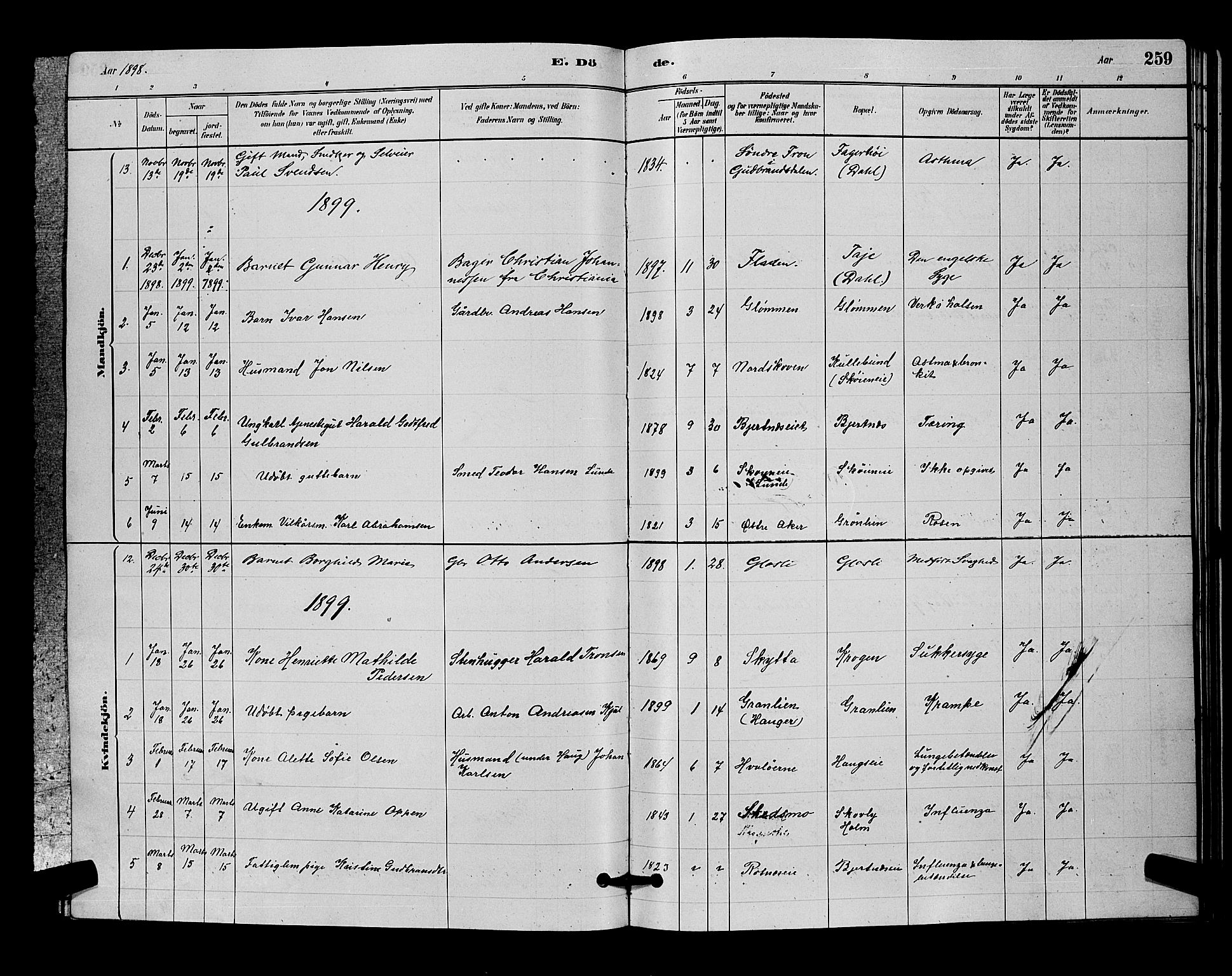 Nittedal prestekontor Kirkebøker, SAO/A-10365a/G/Ga/L0002: Parish register (copy) no. I 2, 1879-1901, p. 259