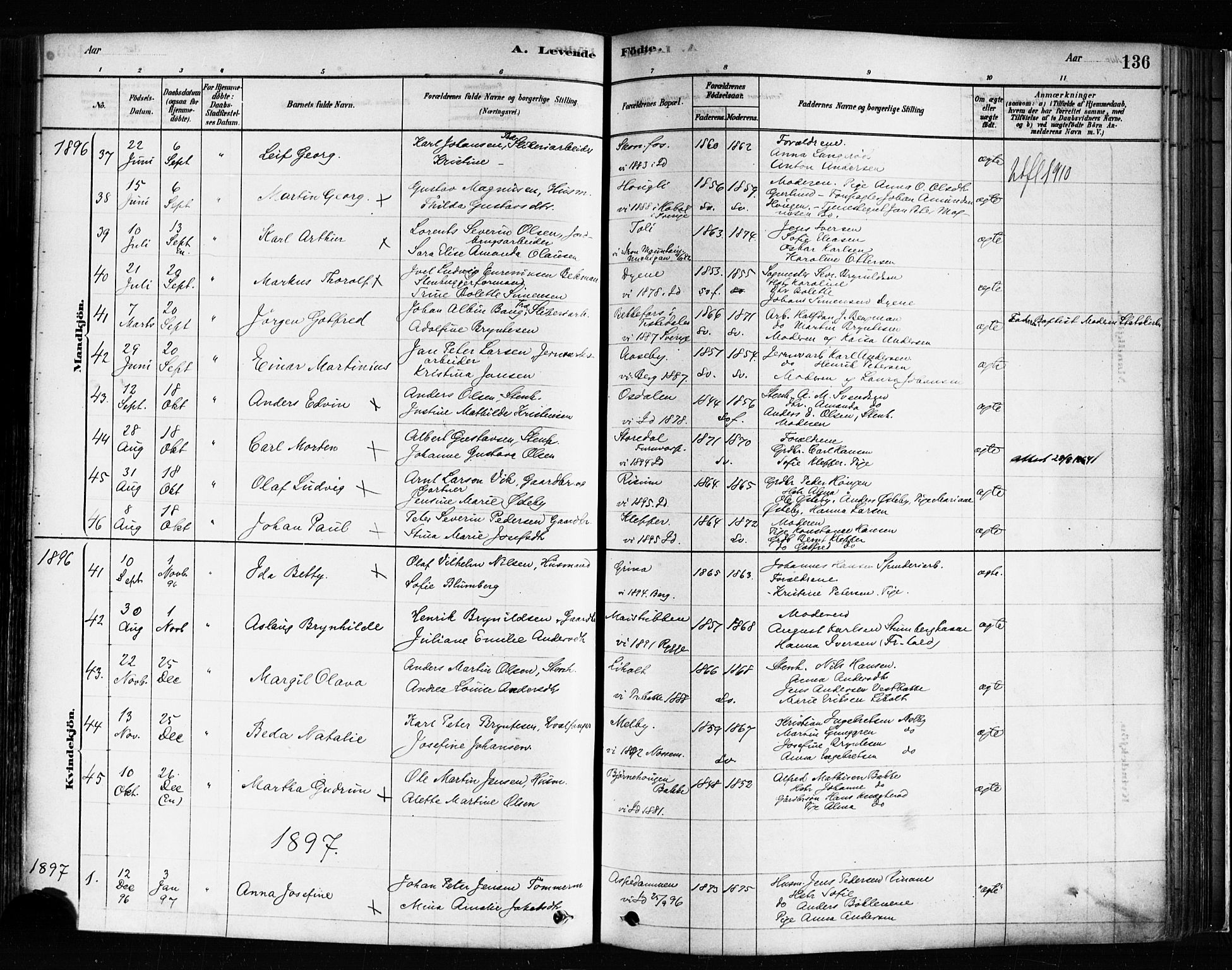 Idd prestekontor Kirkebøker, SAO/A-10911/F/Fc/L0006a: Parish register (official) no. III 6A, 1878-1903, p. 136