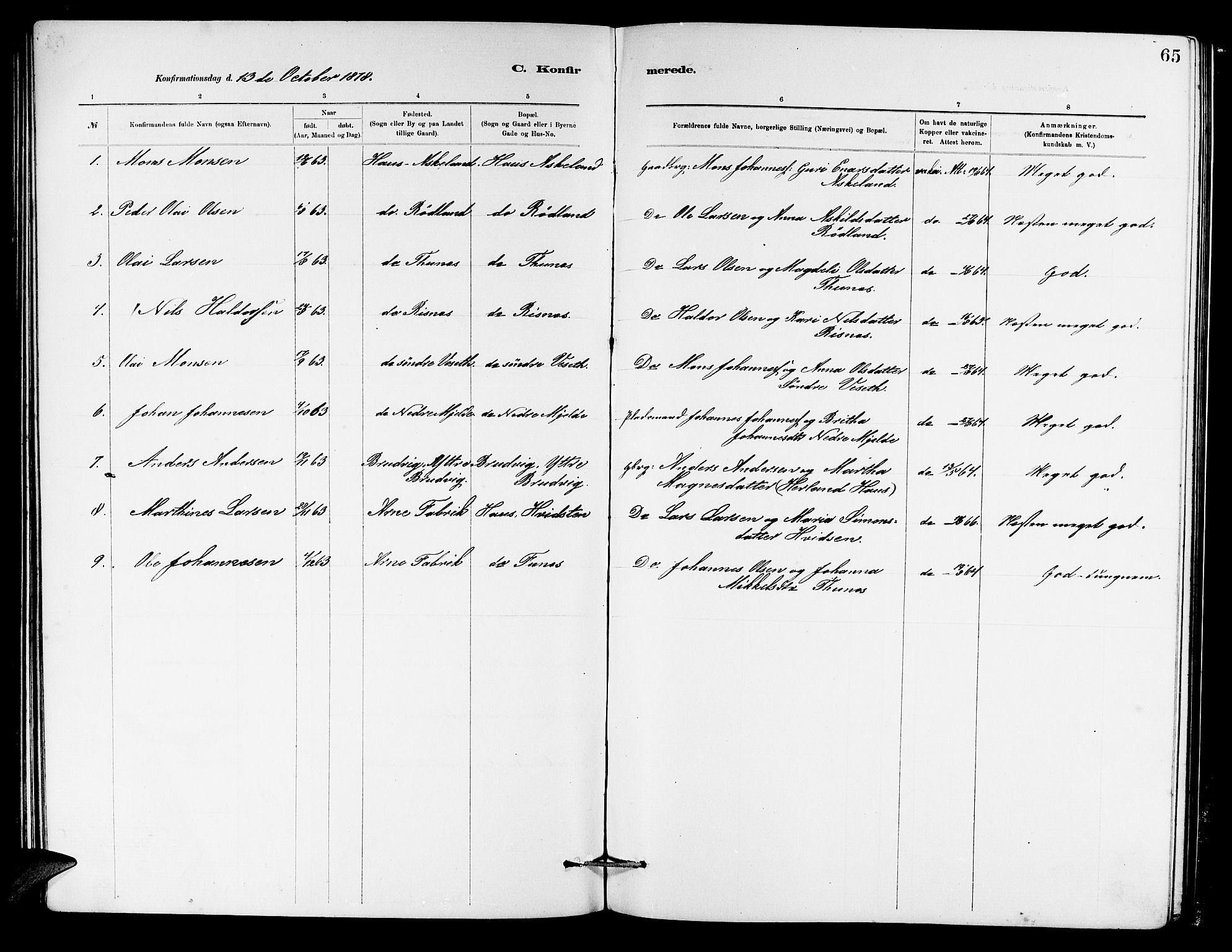 Haus sokneprestembete, AV/SAB-A-75601/H/Hab: Parish register (copy) no. B 2, 1878-1884, p. 65