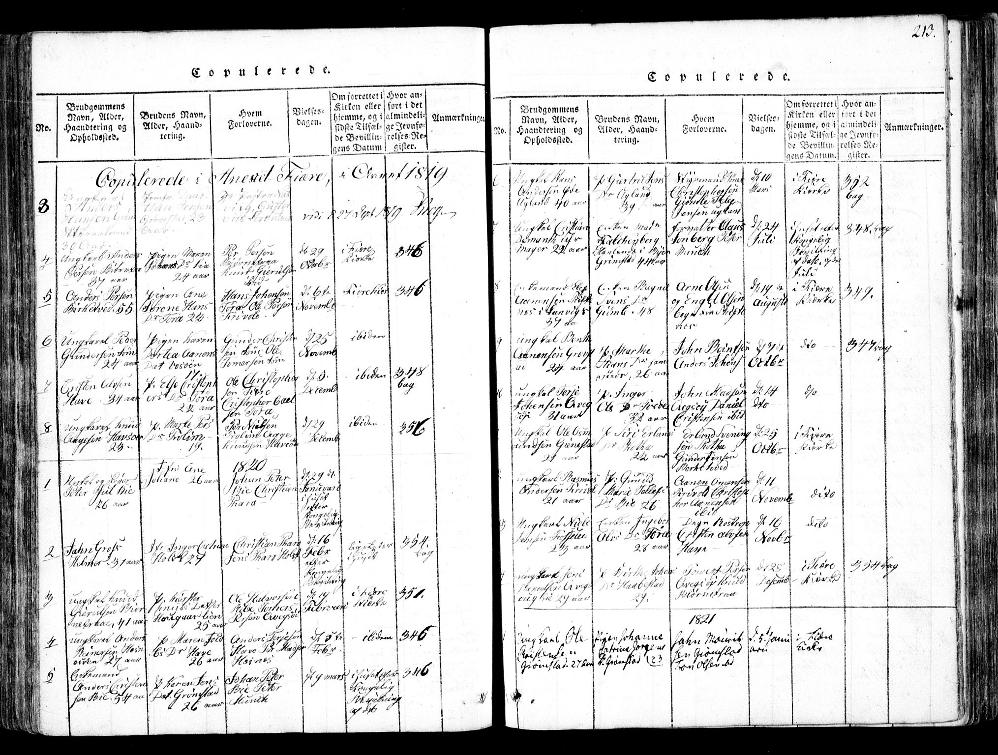 Fjære sokneprestkontor, SAK/1111-0011/F/Fb/L0007: Parish register (copy) no. B 7, 1816-1826, p. 213