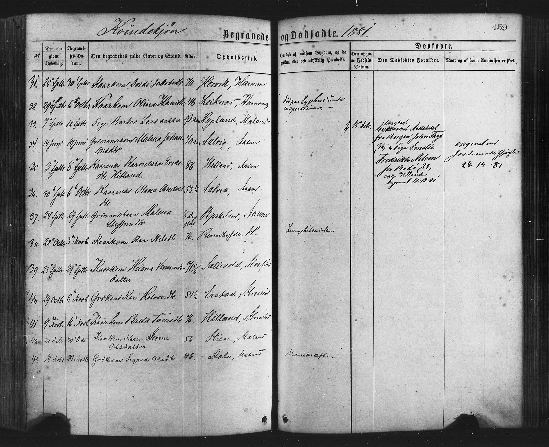 Hamre sokneprestembete, SAB/A-75501/H/Ha/Haa/Haaa/L0015: Parish register (official) no. A 15, 1870-1881, p. 459