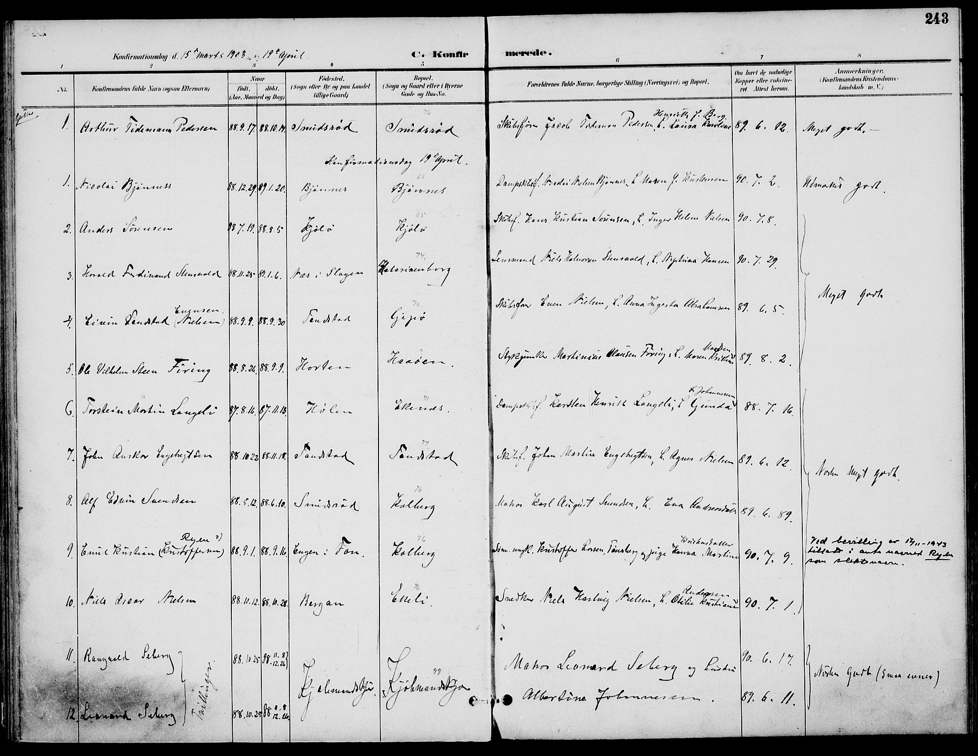 Nøtterøy kirkebøker, AV/SAKO-A-354/F/Fa/L0009: Parish register (official) no. I 9, 1894-1907, p. 243