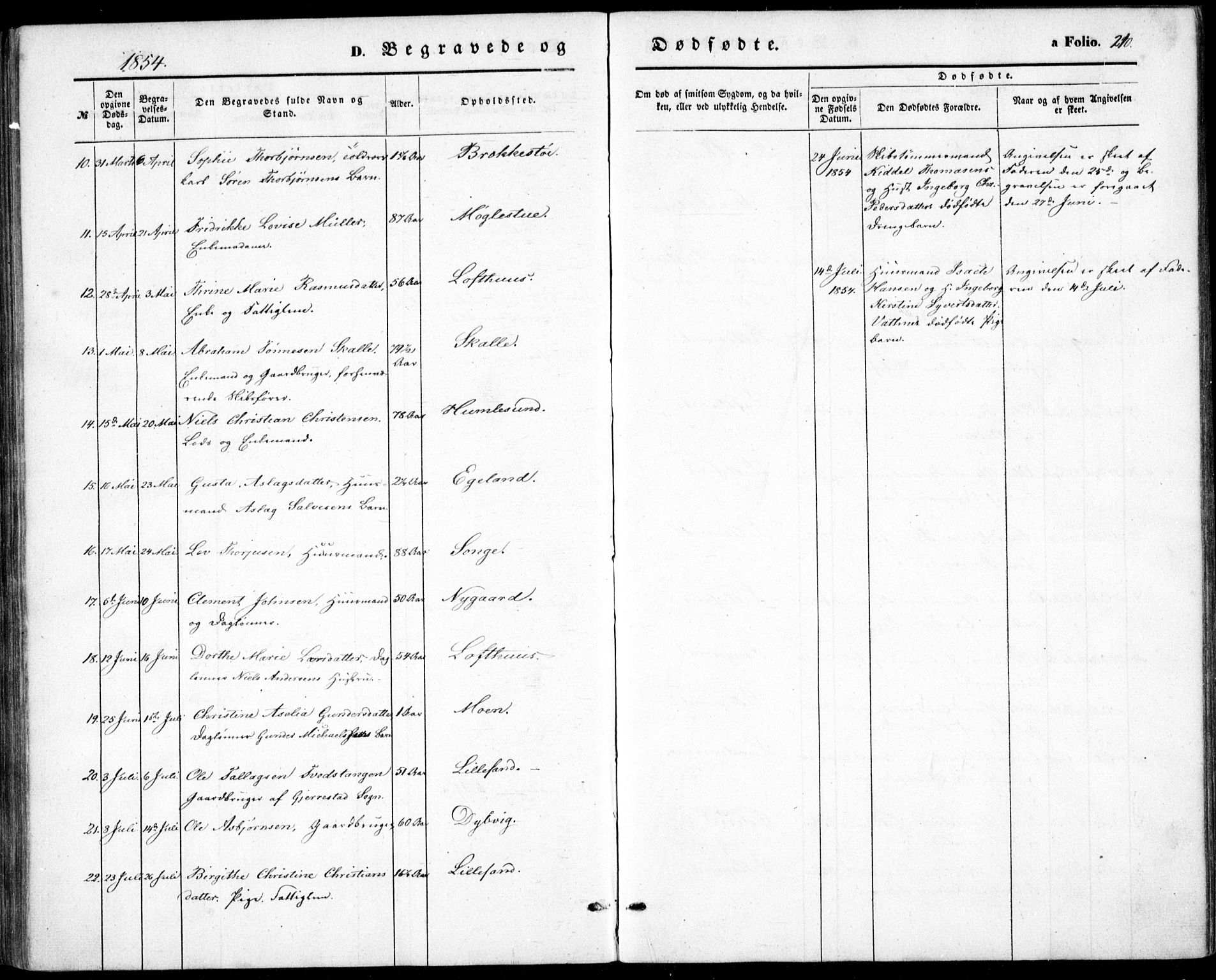 Vestre Moland sokneprestkontor, SAK/1111-0046/F/Fb/Fbb/L0003: Parish register (copy) no. B 3, 1851-1861, p. 210