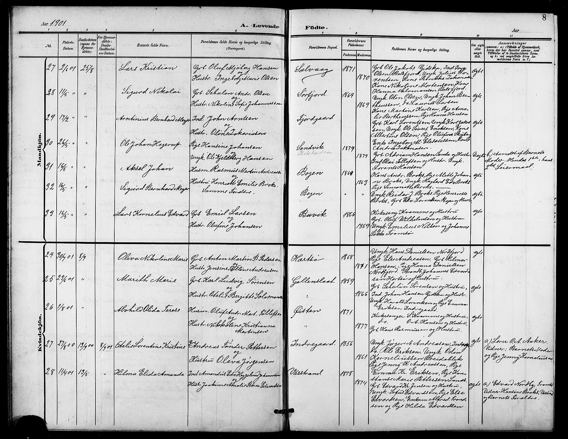 Lenvik sokneprestembete, SATØ/S-1310/H/Ha/Hab/L0022klokker: Parish register (copy) no. 22, 1901-1918, p. 8
