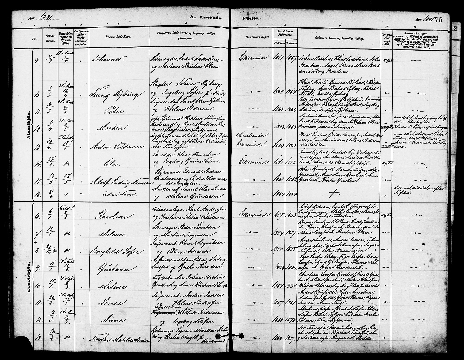 Eigersund sokneprestkontor, AV/SAST-A-101807/S08/L0015: Parish register (official) no. A 15, 1879-1892, p. 75