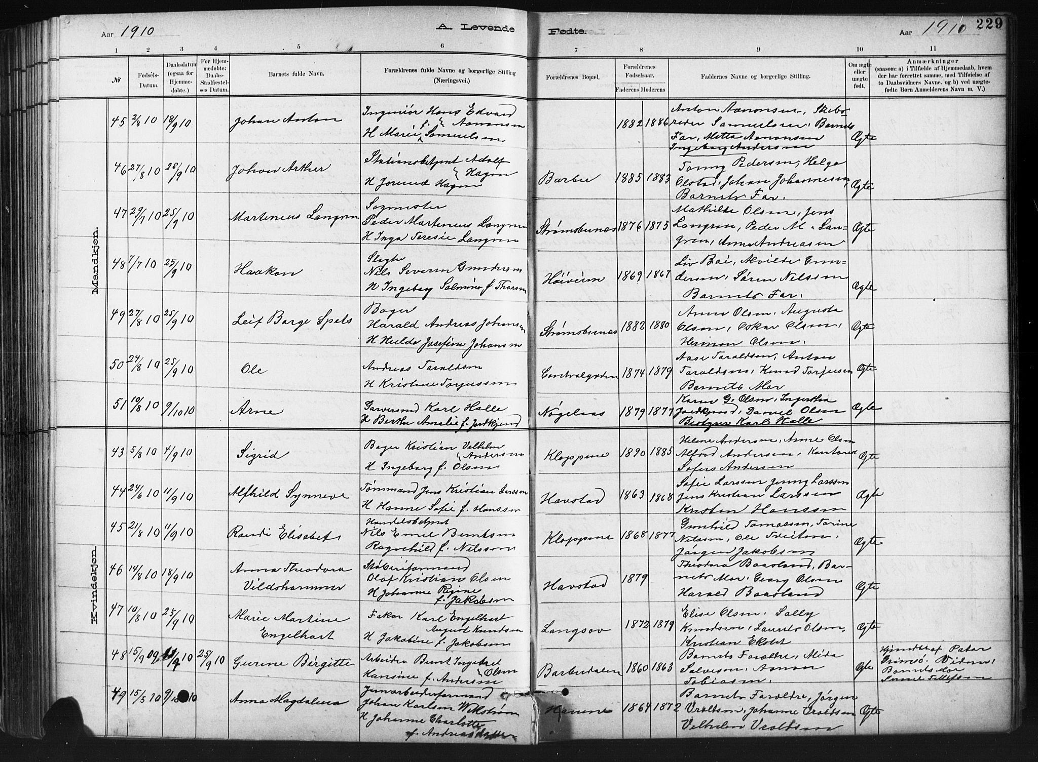 Barbu sokneprestkontor, AV/SAK-1111-0003/F/Fb/L0002: Parish register (copy) no. B 2, 1890-1922, p. 229