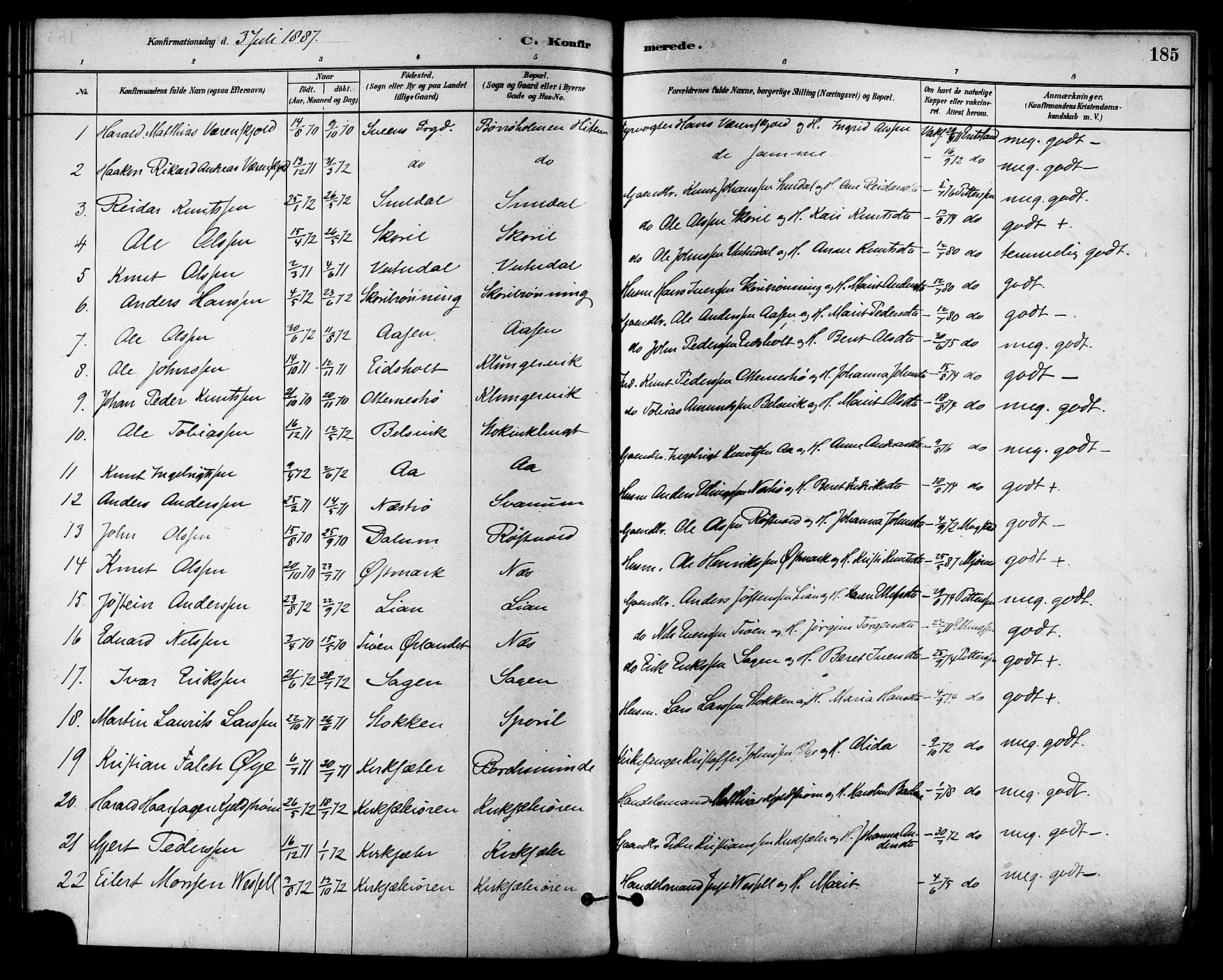 Ministerialprotokoller, klokkerbøker og fødselsregistre - Sør-Trøndelag, SAT/A-1456/630/L0496: Parish register (official) no. 630A09, 1879-1895, p. 185